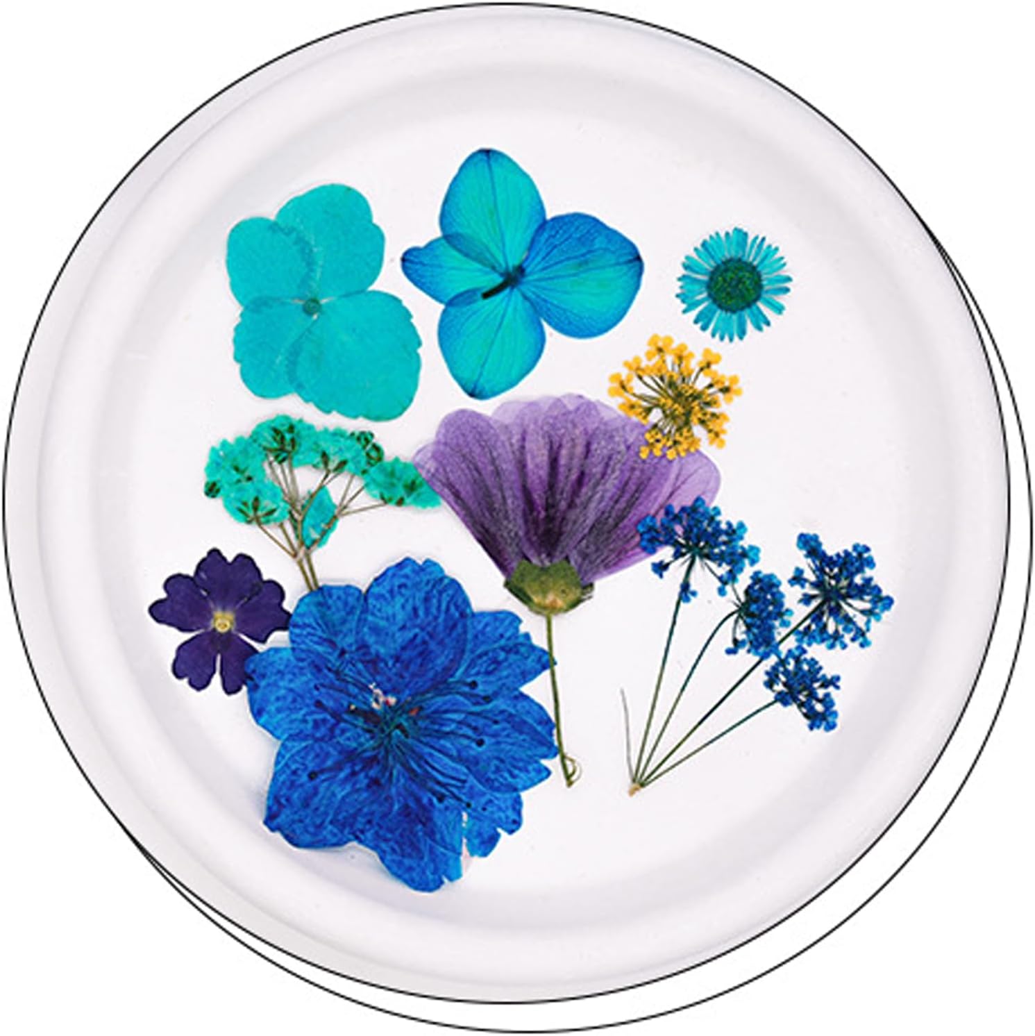30 Pcs Dried Flowers Leaves Resin Crafting Decor