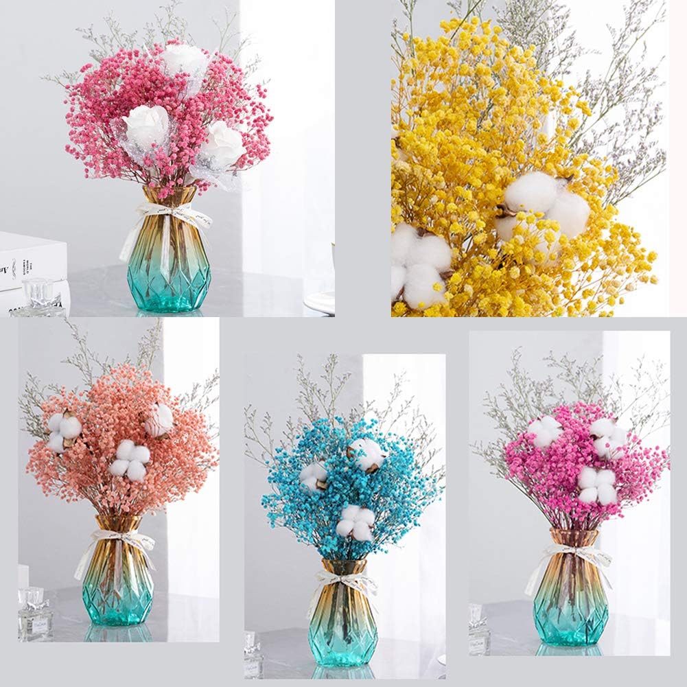 Vignee Real Dried Pressed Flower Daisies for Resin Jewelry Craft DIY