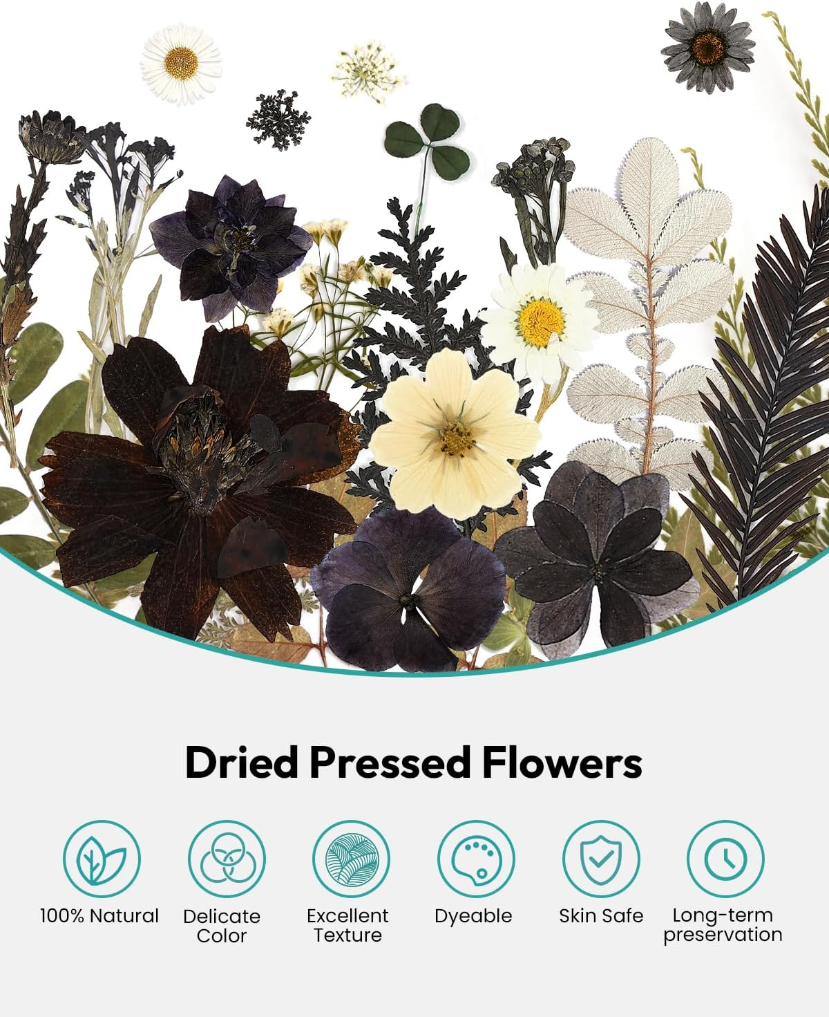 Dried Flowers Pressed Flowers Craft Kit for Scrapbooking DIY