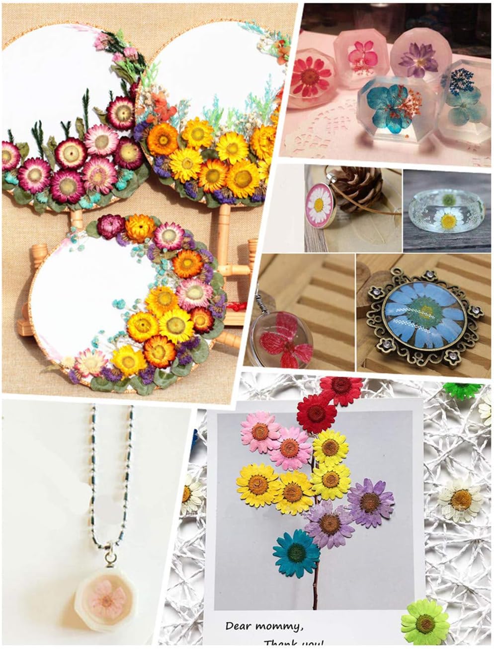 12PCS Sulphureus Natural Pressed Dried Flower for DIY Craft Jewelry Making