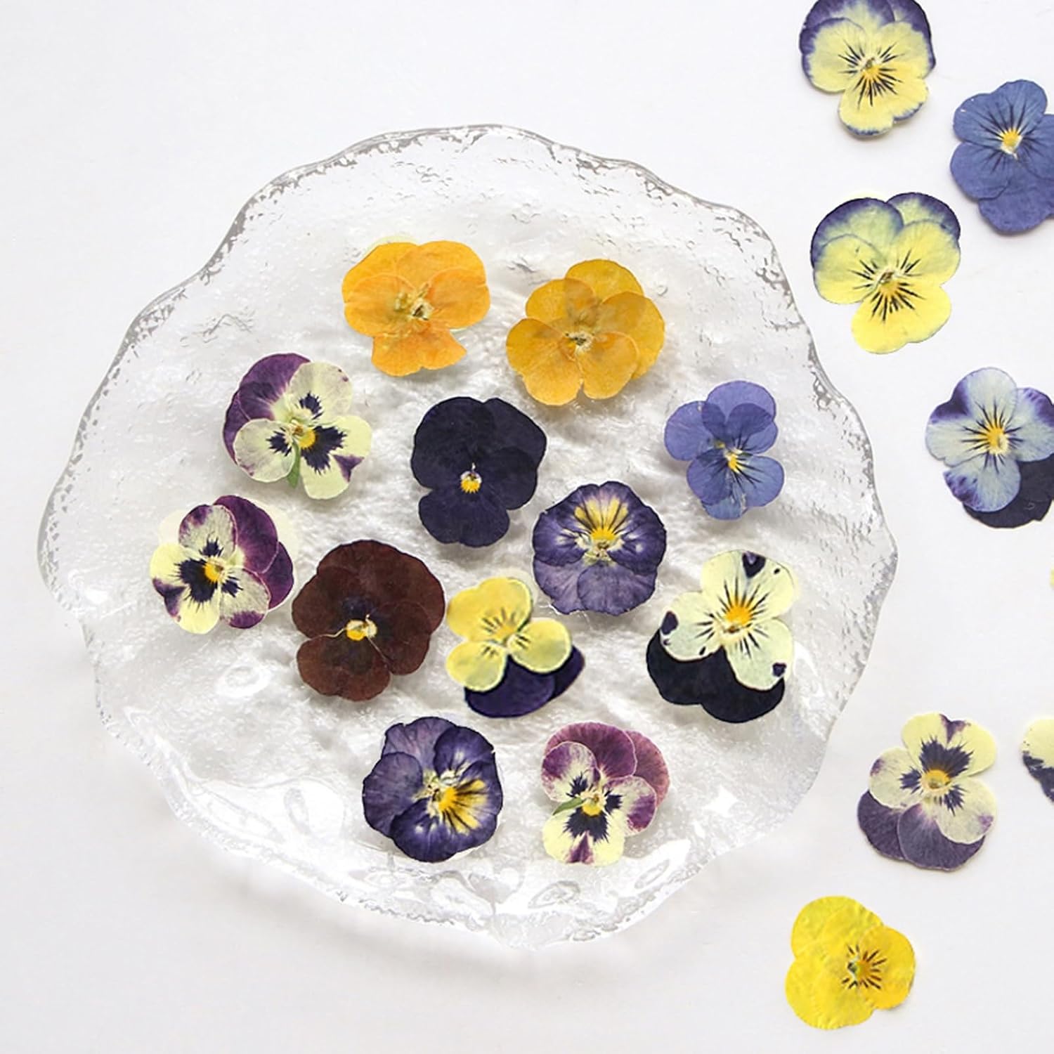54 Pcs Dried Pressed Purple Pansy Flowers Resin Art Crafts