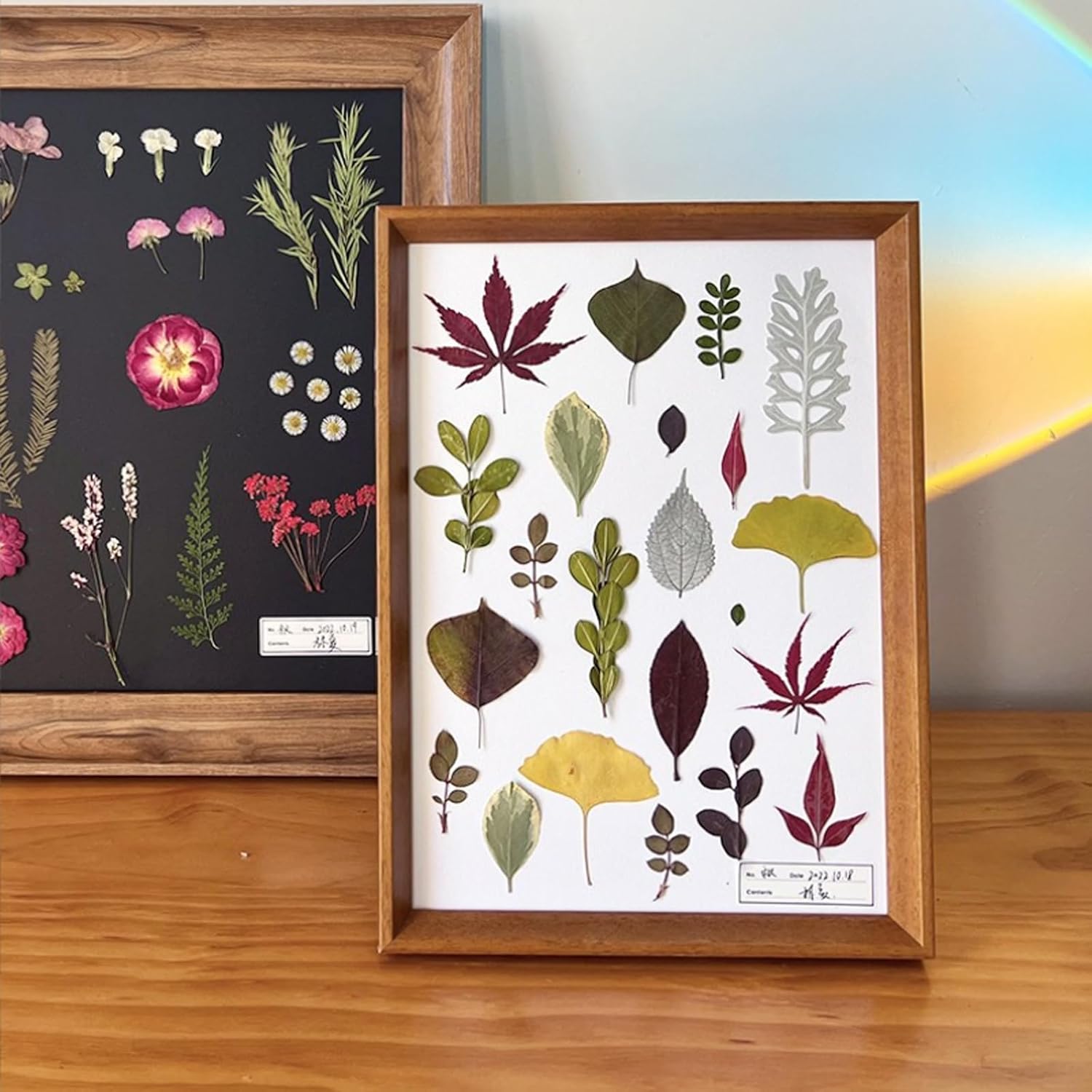 35 Pcs Dried Flowers Leaves for Crafts Resin Art DIY
