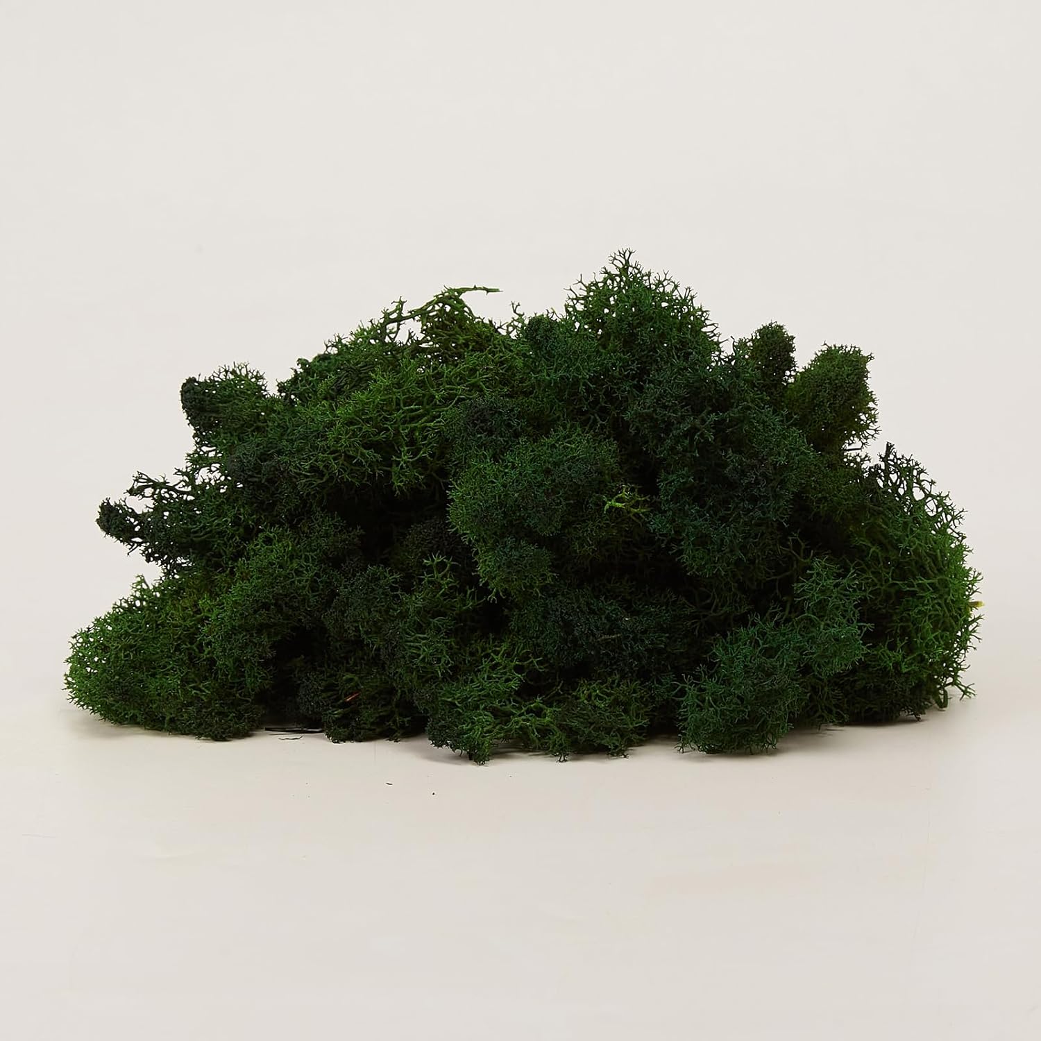 Preserved Reindeer Moss Green DIY Flower Arranging Kit
