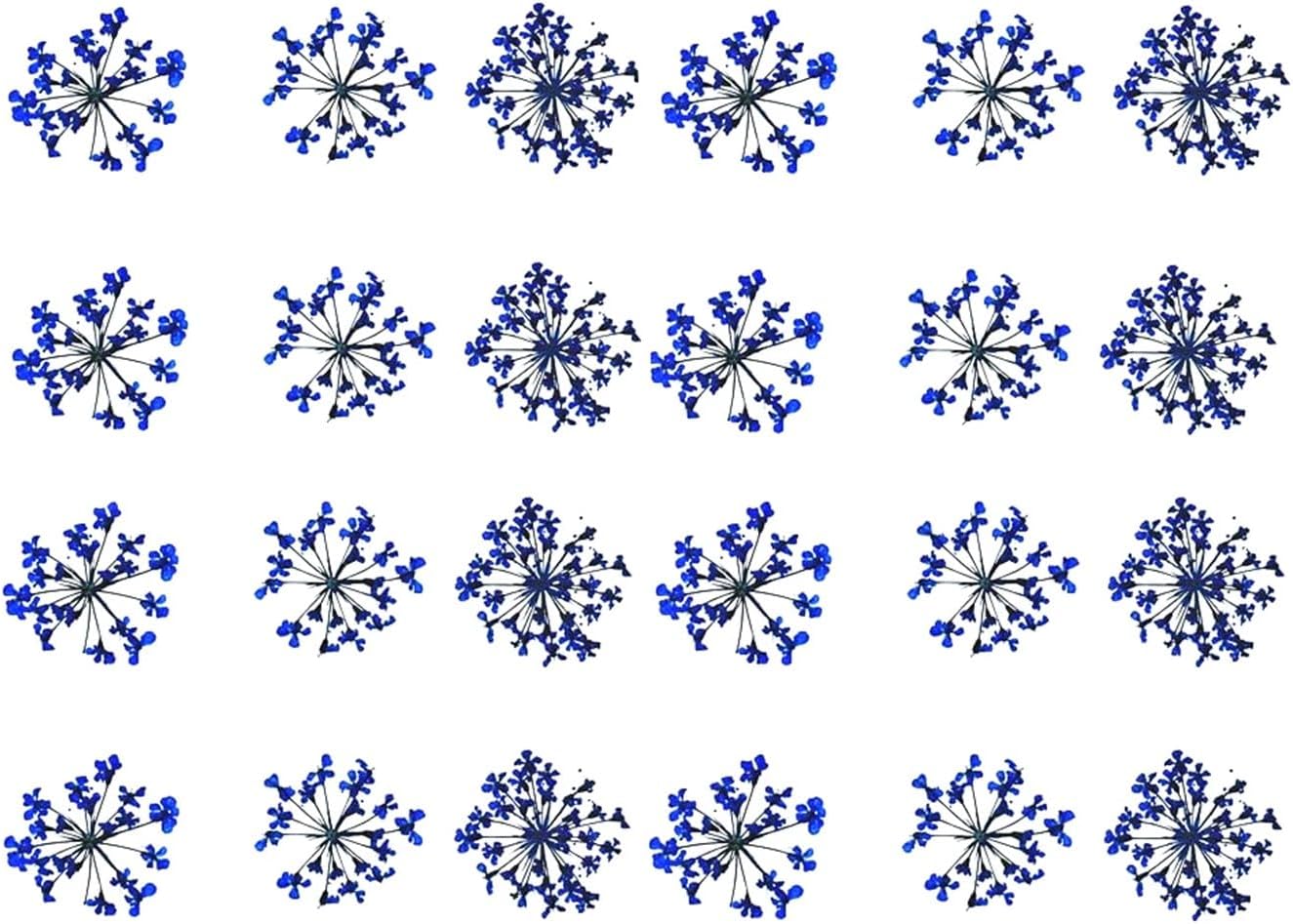 72 Pcs Blue Dried Flowers for Nail Art Resin Decals