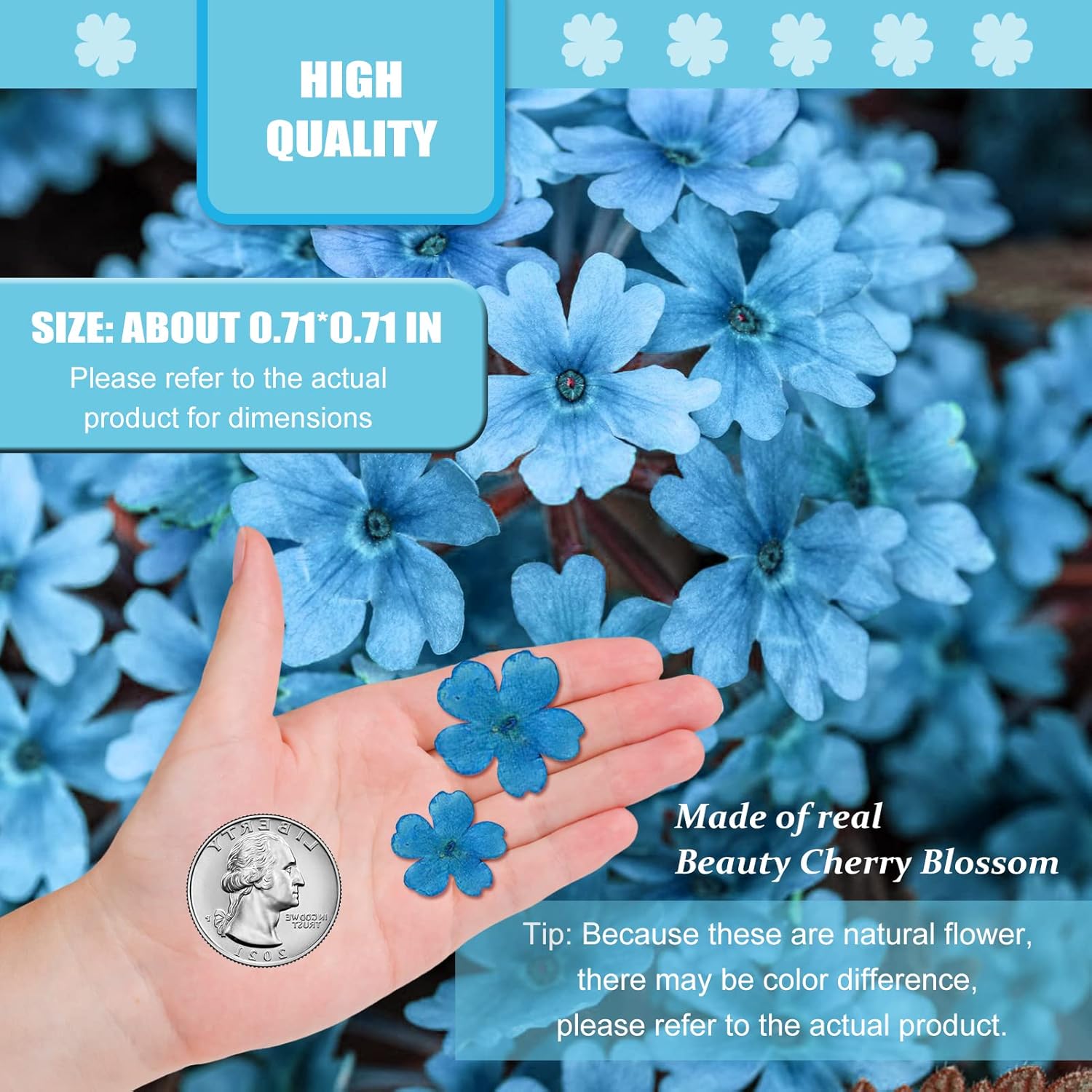 Blue Dried Cherry Blossom Flowers for Resin Decor 60PCS