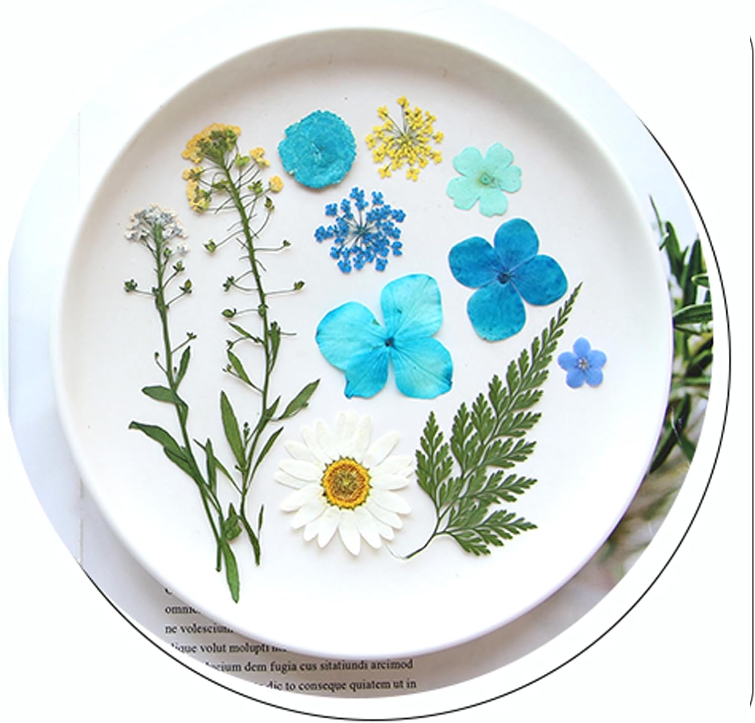 40 Pcs Dried Pressed Flowers Resin Art Craft Decor