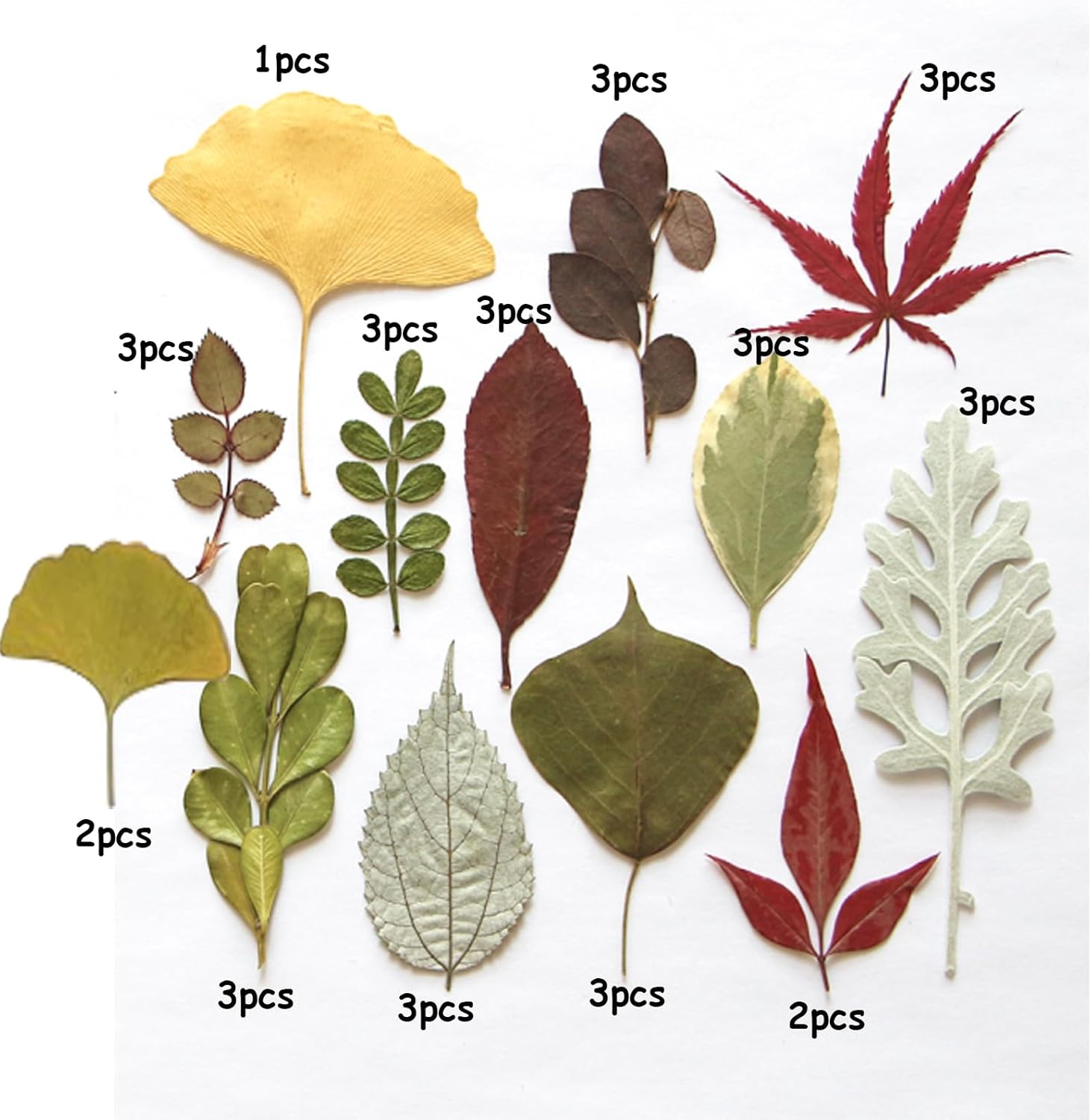 35 Pcs Dried Flowers Leaves for Crafts Resin Art DIY