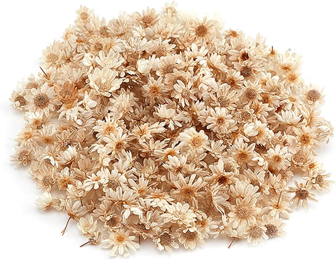 Queenbox 200pcs Mini Star Daisy Dried Flowers for DIY Wedding Confetti