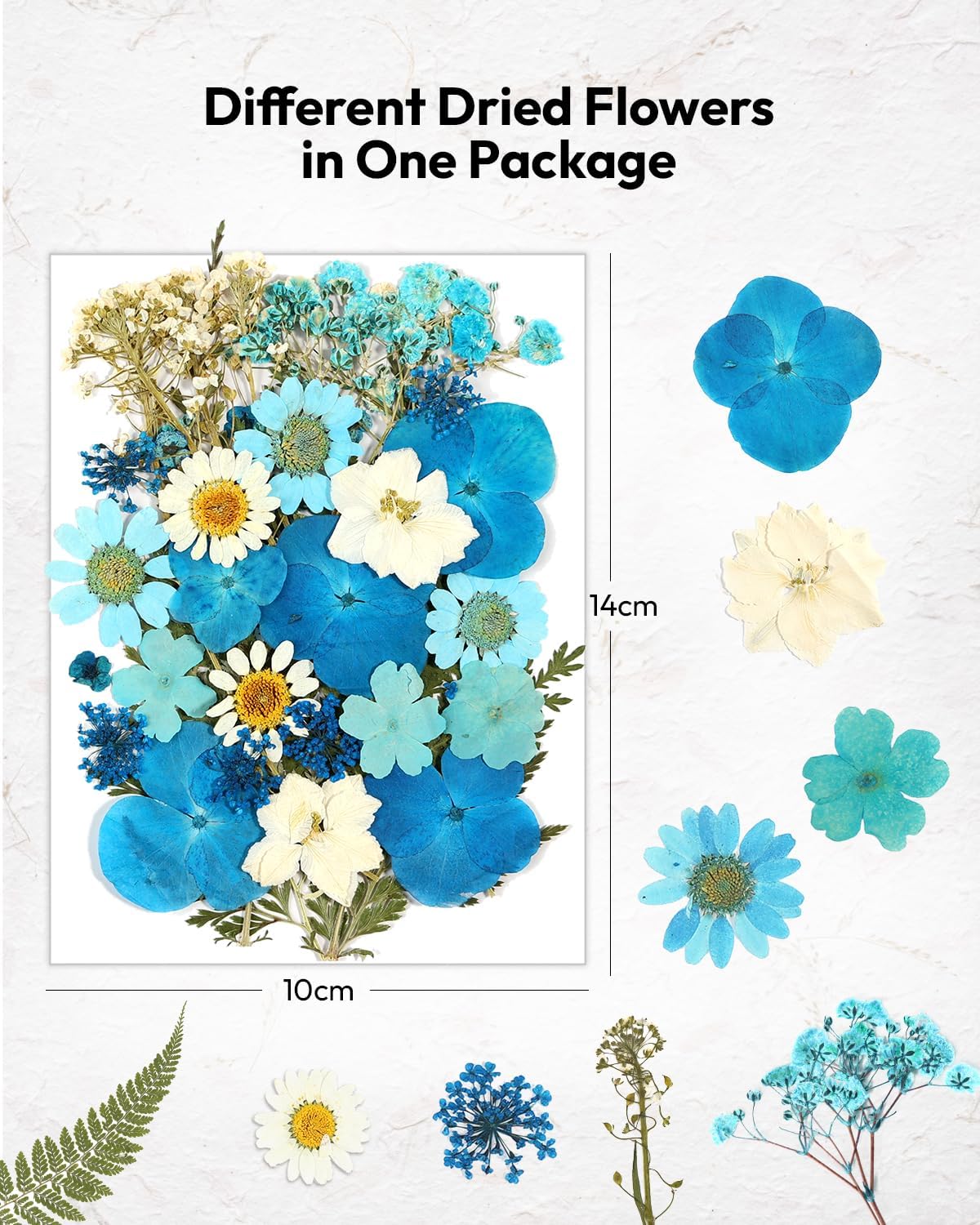 174 Pcs Dried Flowers Pressed for Crafts