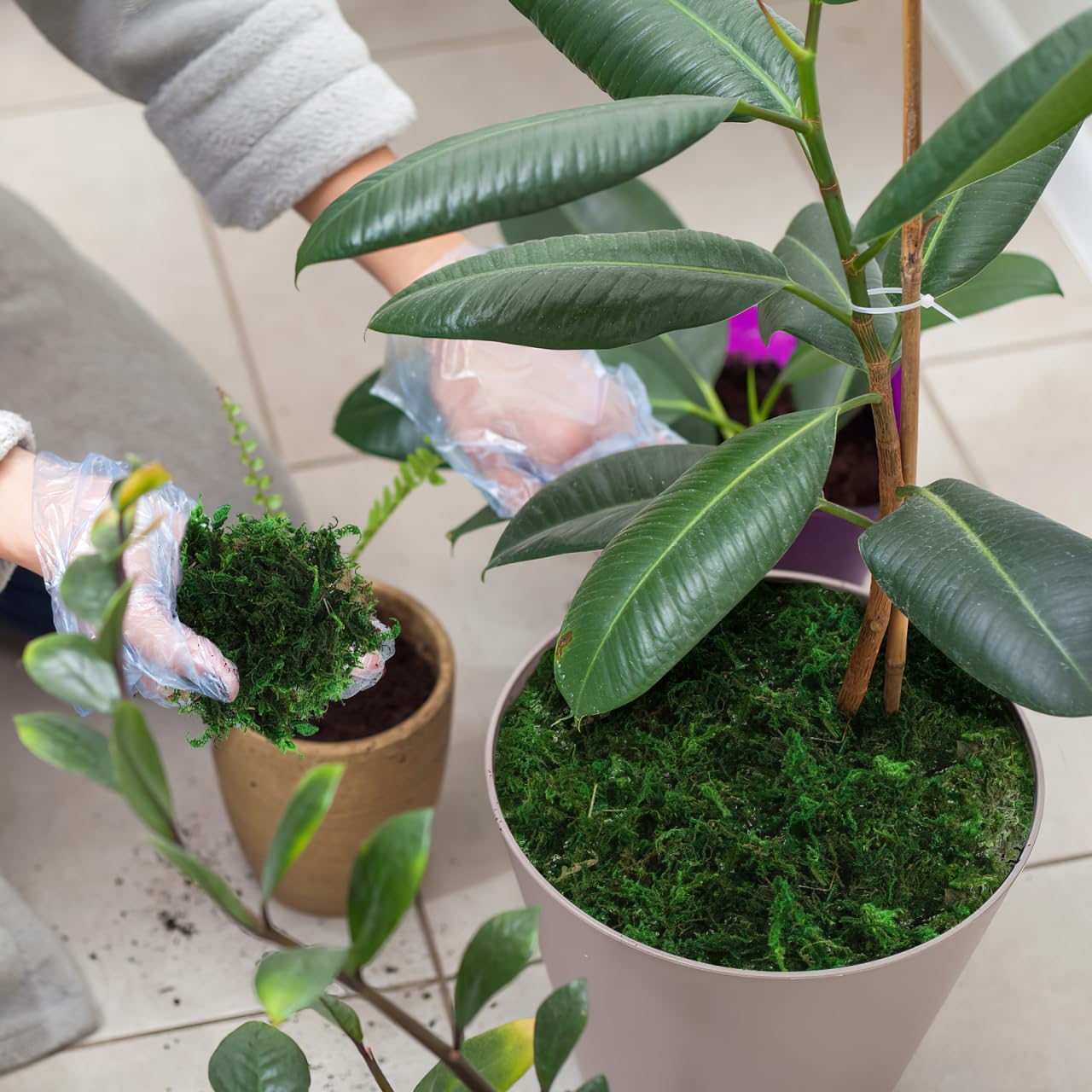 Unomor Artificial Moss for Potted Plants and DIY Crafts