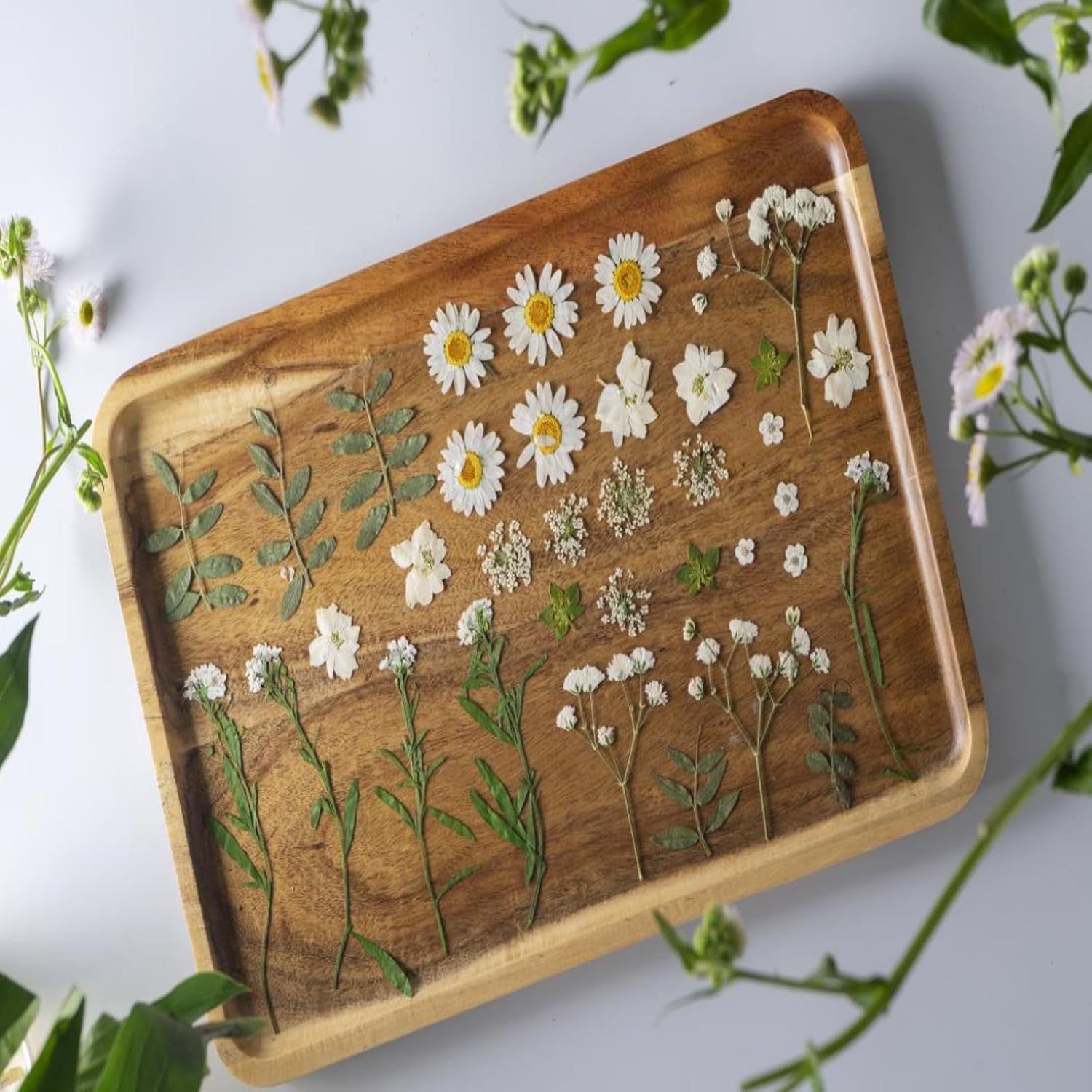 36Pcs Dried Pressed Flowers for Resin DIY Art Crafts