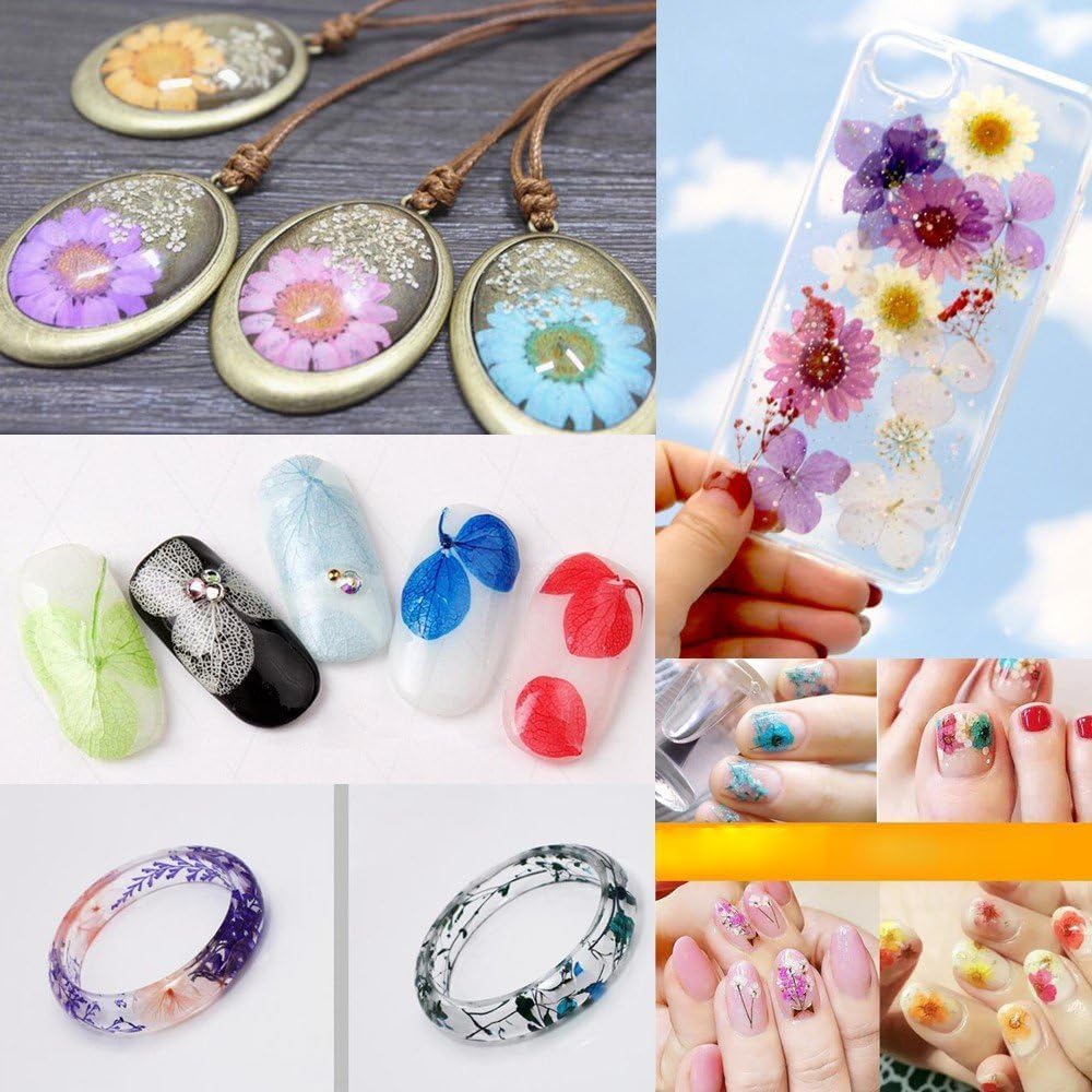 72 pcs 3D Dried Flowers for Nail Art and Resin