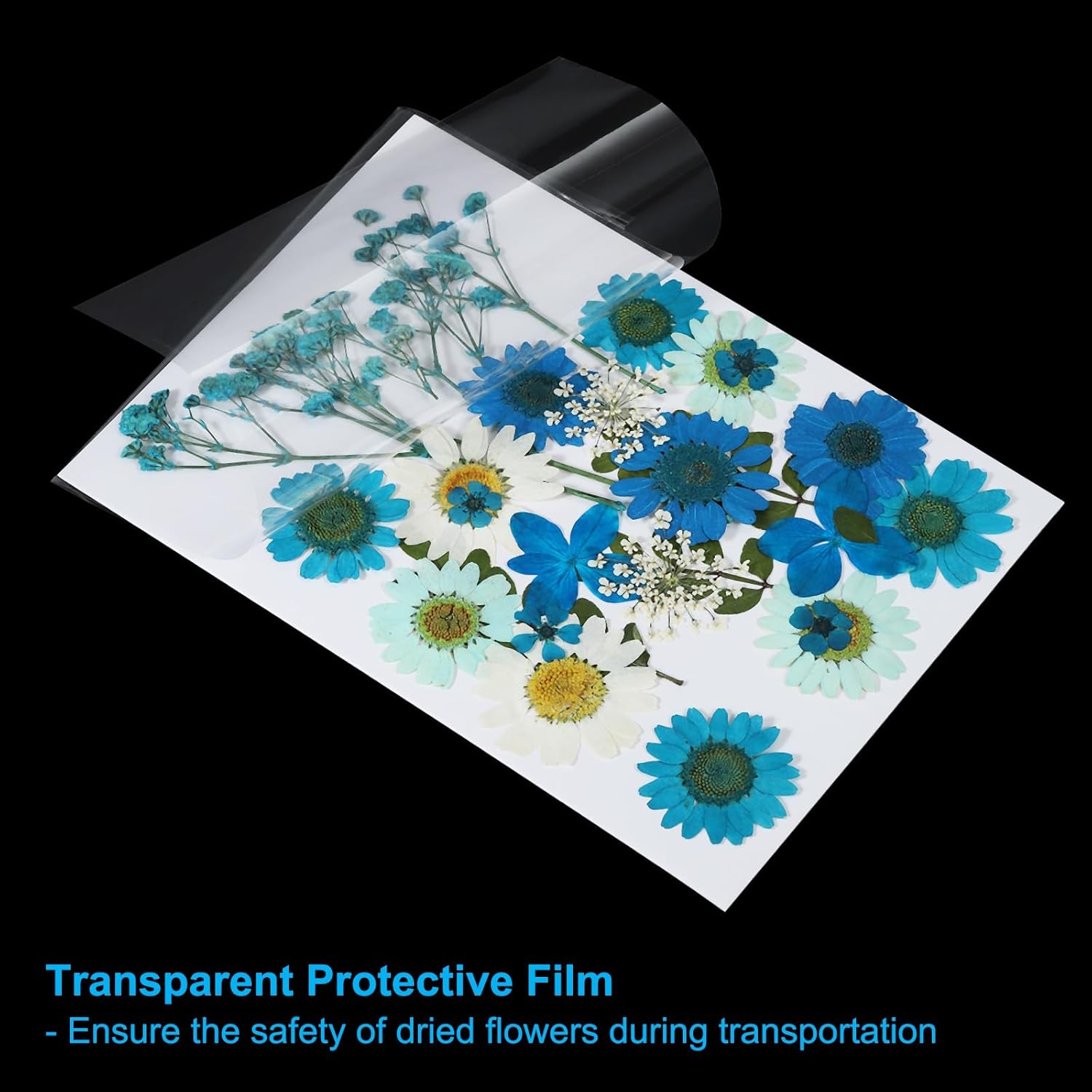 PATIKIL Dried Pressed Flowers Blue Series Art Craft Set