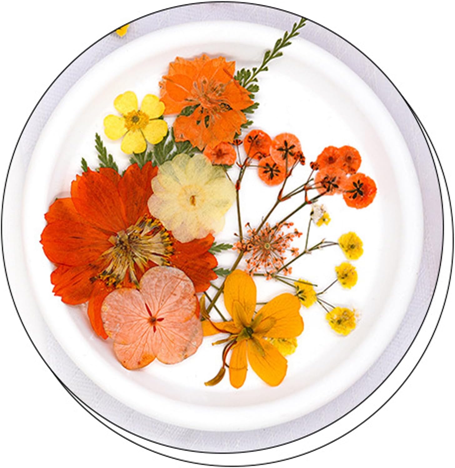 30Pcs Dried Pressed Flowers for Resin Art Crafts
