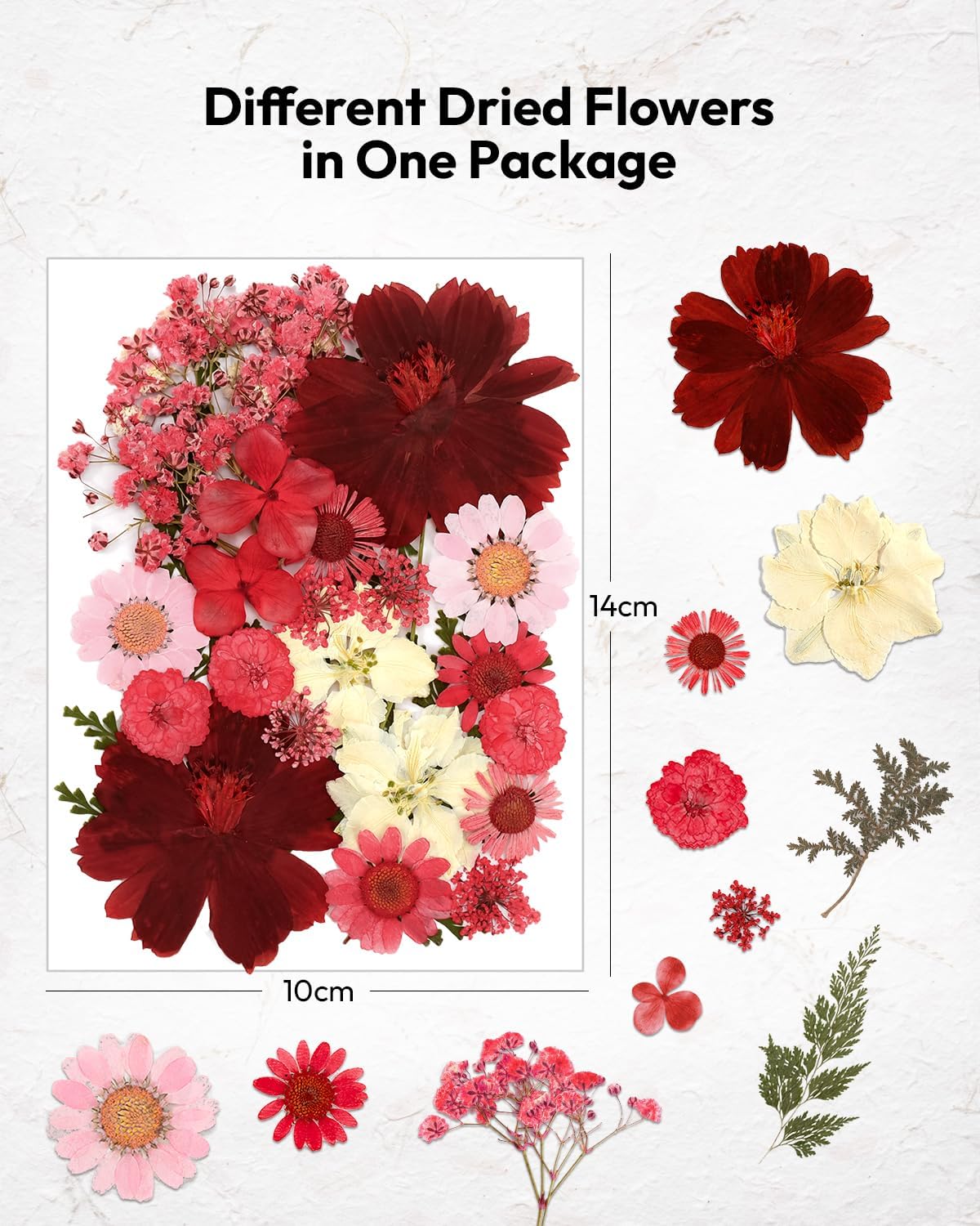Resiners Cherry Dried Flowers 174pcs Craft Kit