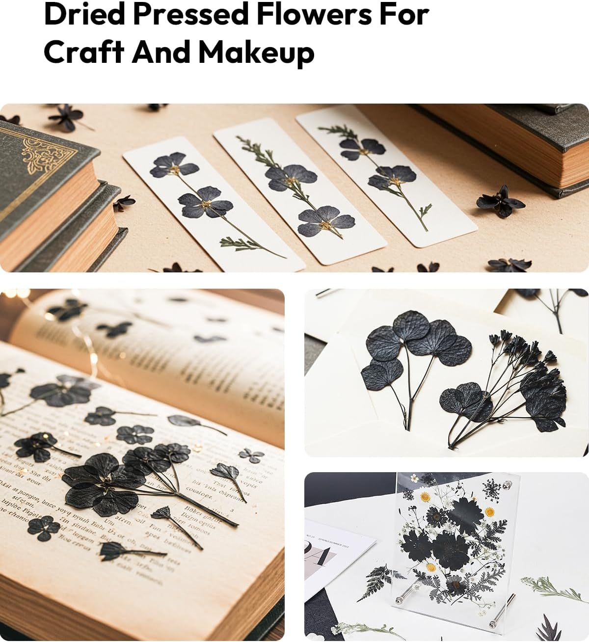 Dried Flowers Pressed Flowers Craft Kit for Scrapbooking DIY