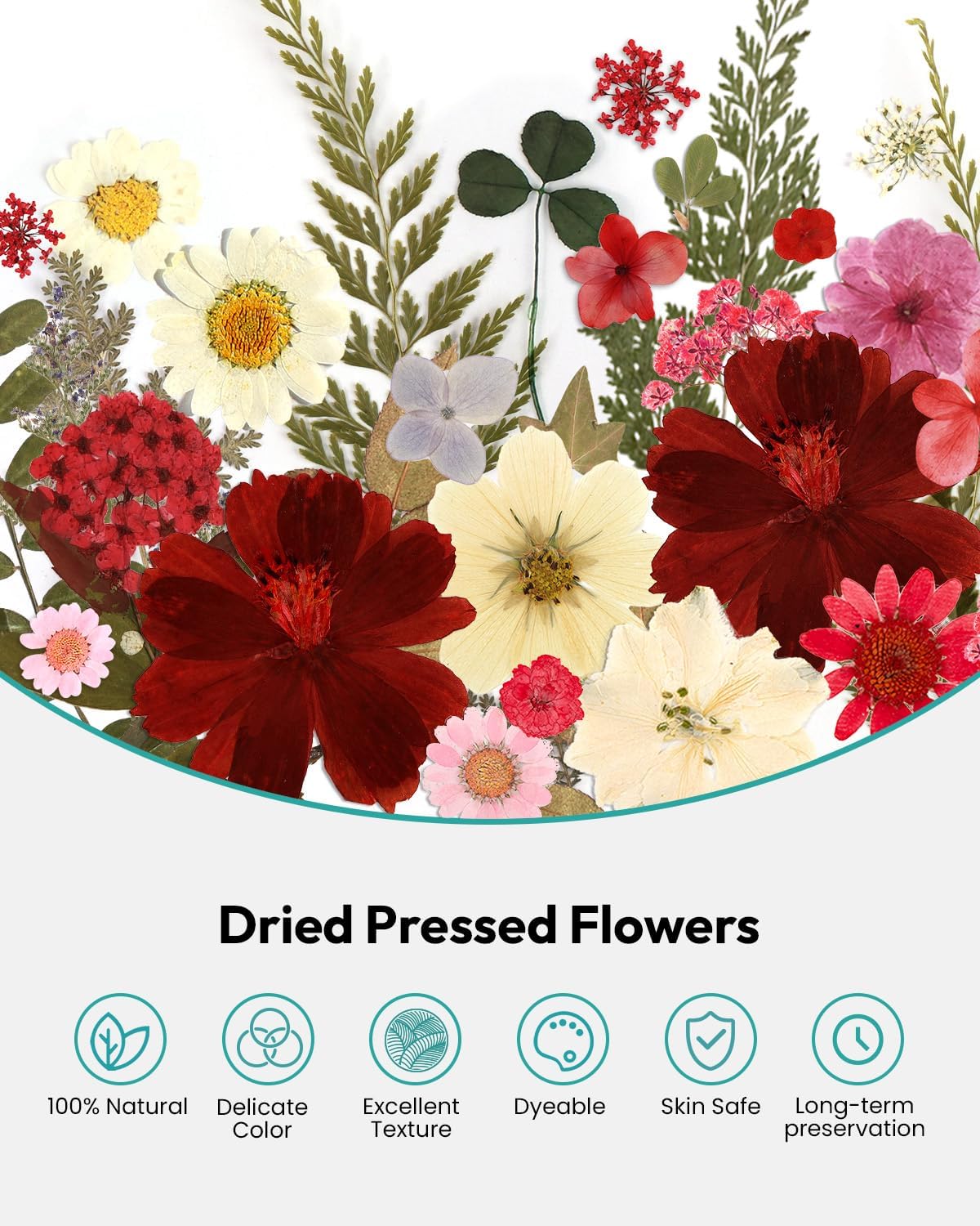 Resiners Cherry Dried Flowers 174pcs Craft Kit
