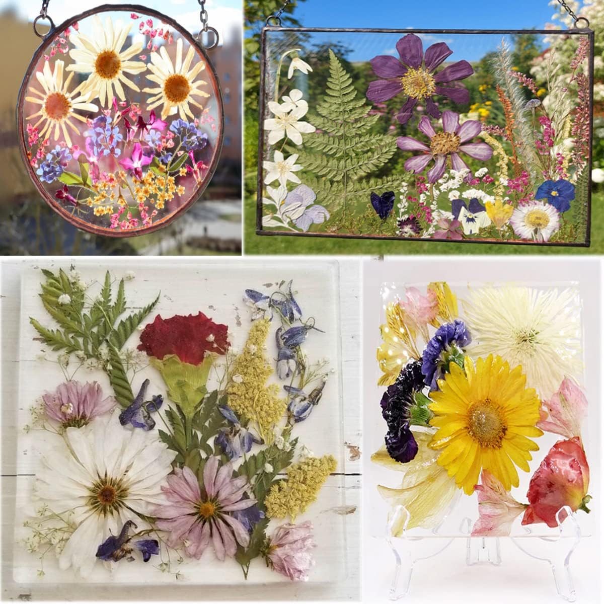 OECCO Large Red Dried Pressed Flowers for Resin Crafting