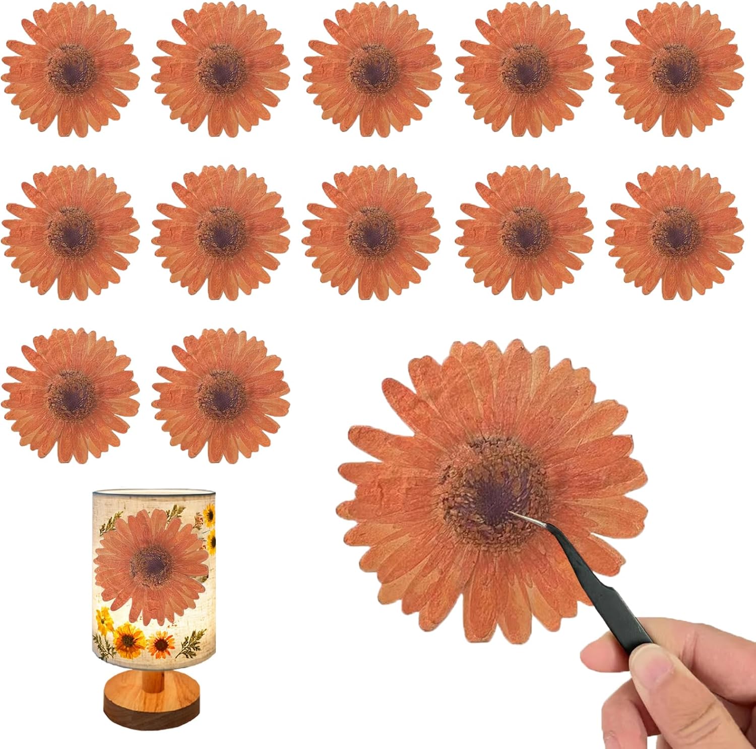 ALJ Large Dried Sunflowers for Resin Crafts Embellishment