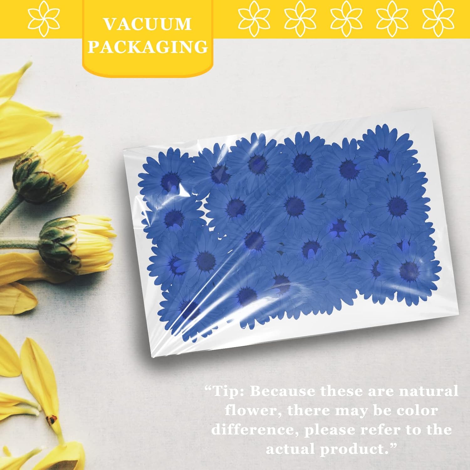 CyHiThai Blue Dried Flowers for Resin Crafts 60PCS