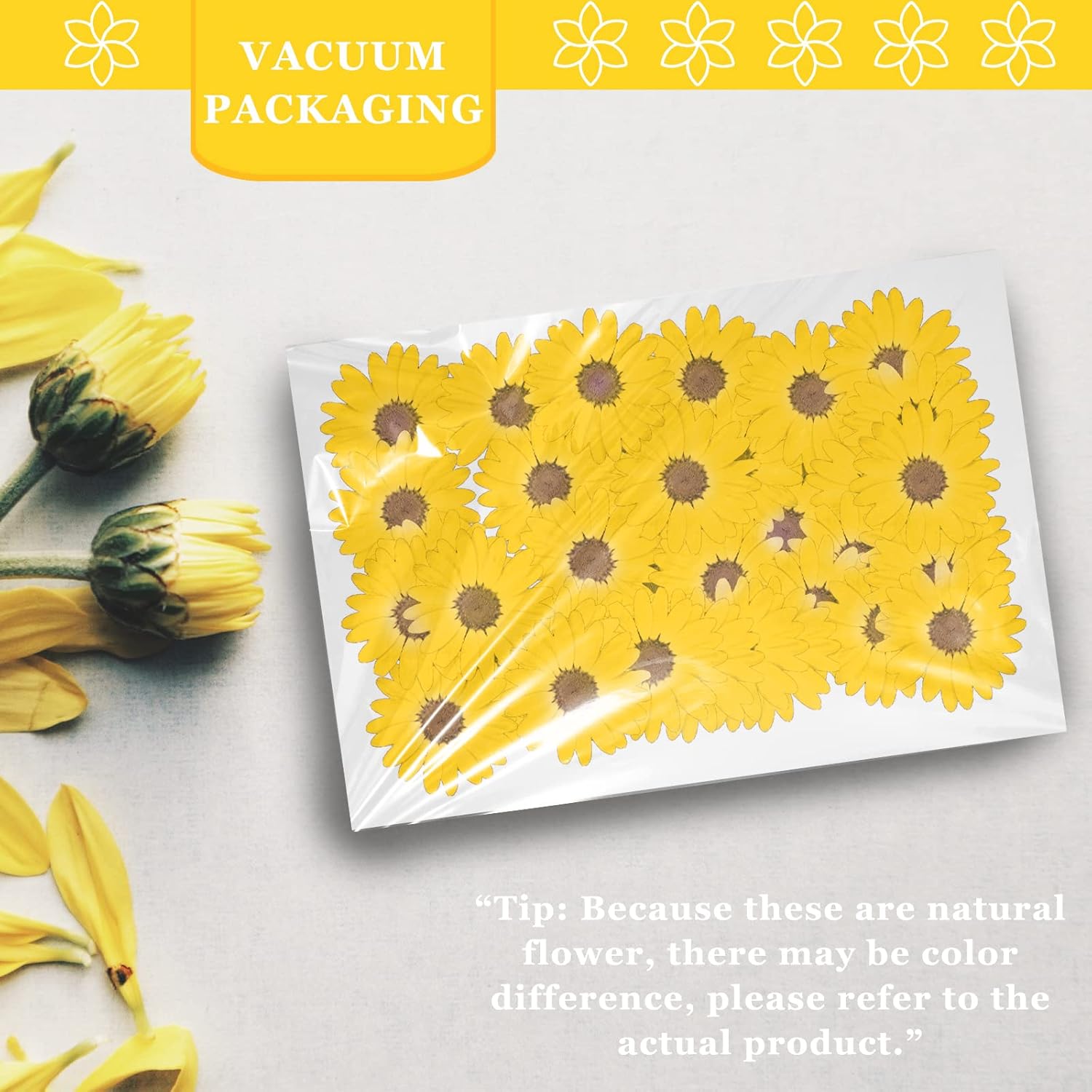 Yellow Dried Flowers Little Daisy for Resin Crafts 60PCS