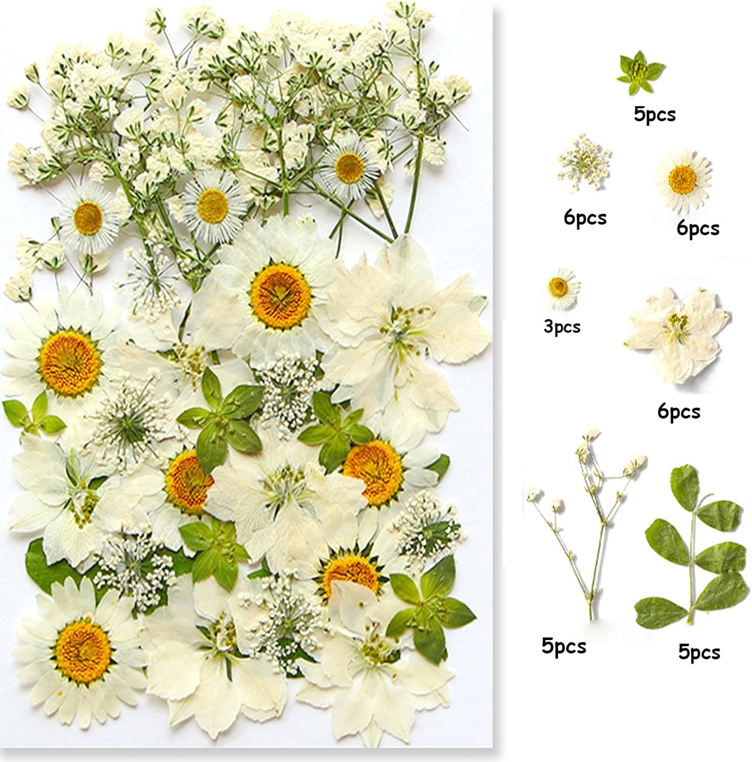 36Pcs Dried Pressed Flowers for Resin DIY Art Crafts