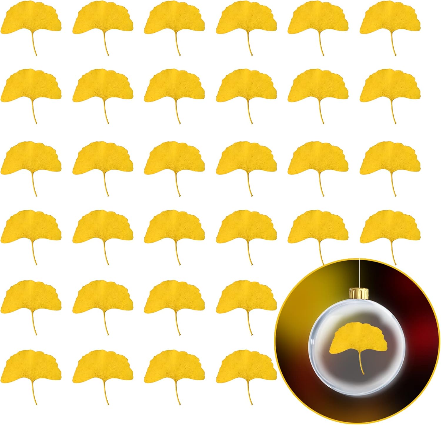 Yellow Dried Ginkgo Leaves for Resin Jewelry and Decor