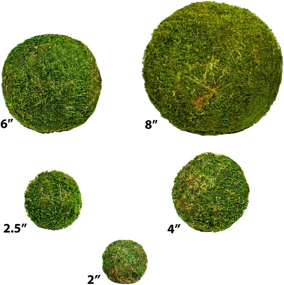 SuperMoss 4 Inch Fresh Green Moss Ball for Crafts