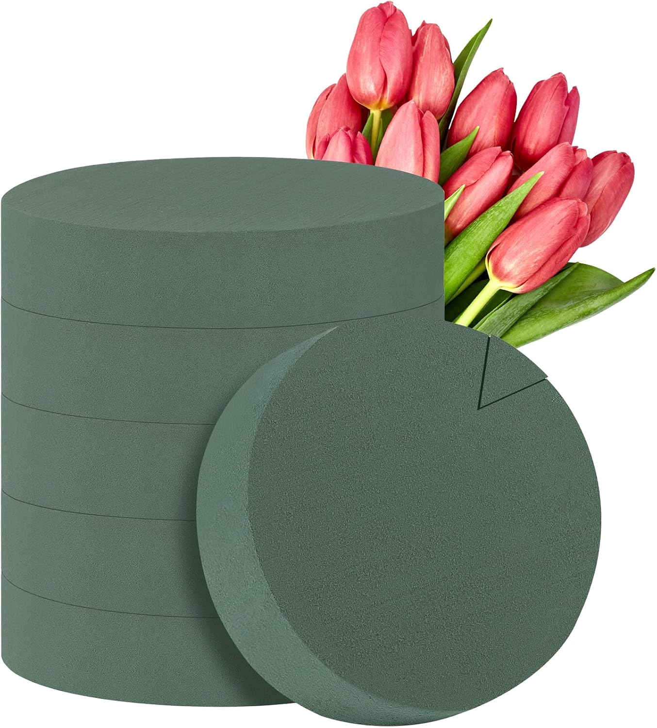 6 Pack Green Floral Foam Blocks 71 Inch Round