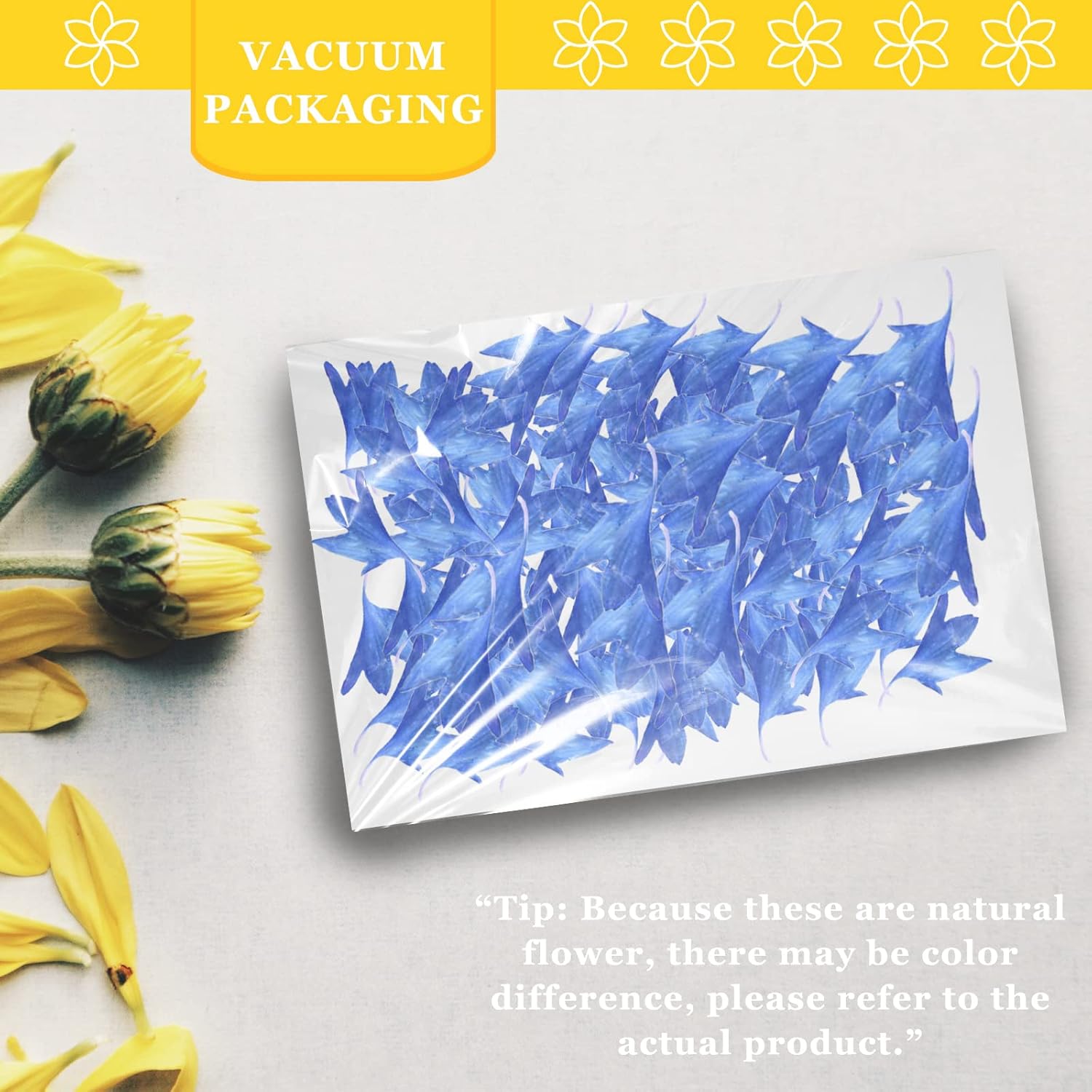Blue Dried Pressed Corn-Flower for Resin Crafts 50PCS