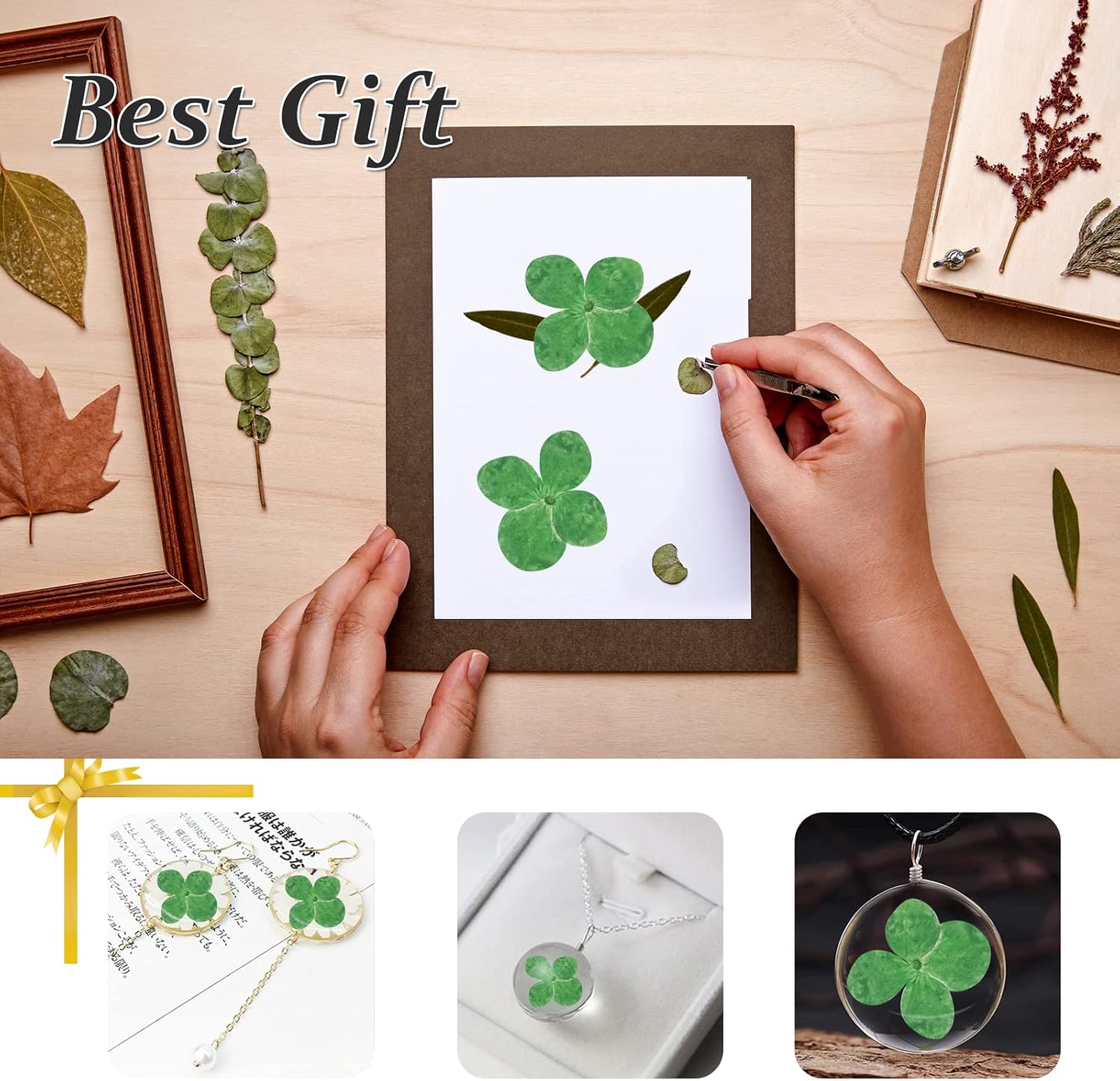 60PCS Natural Green Hydrangea Dried Flowers for DIY Crafts