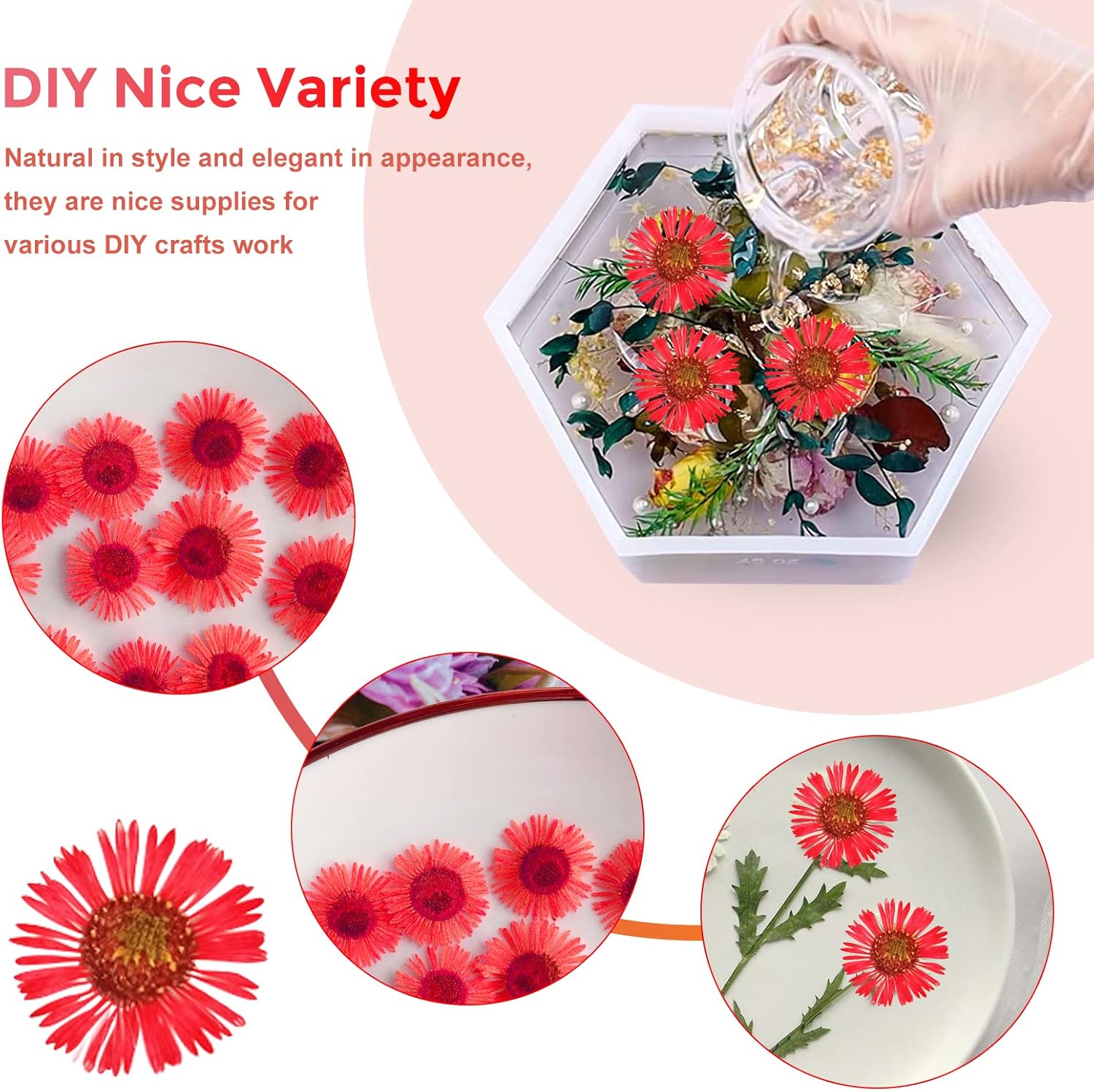 60PCS Natural Dried Chrysanthemum Flowers for Resin Jewelry and Craft
