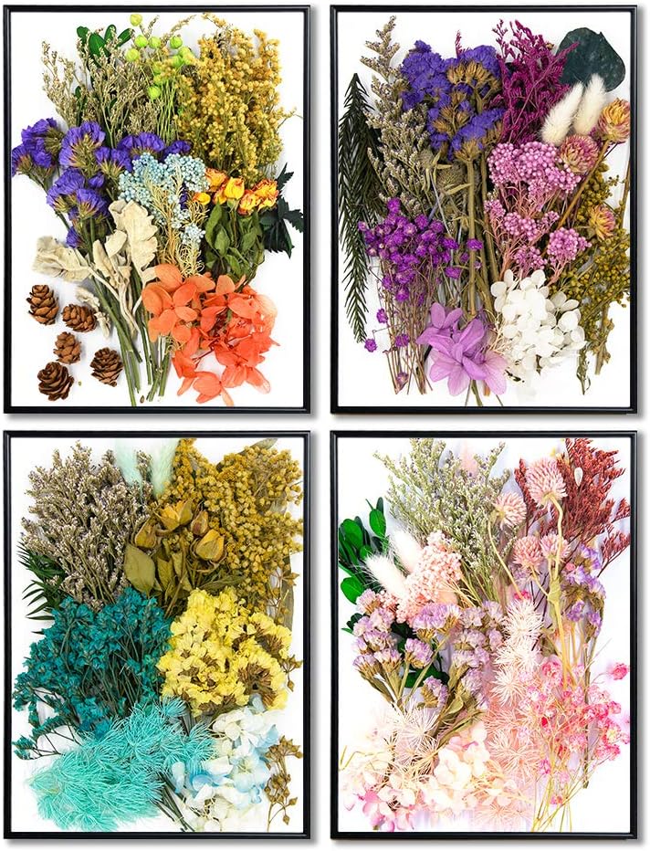 Vignee Real Dried Pressed Flower Daisies for Jewelry Crafting Violet Green