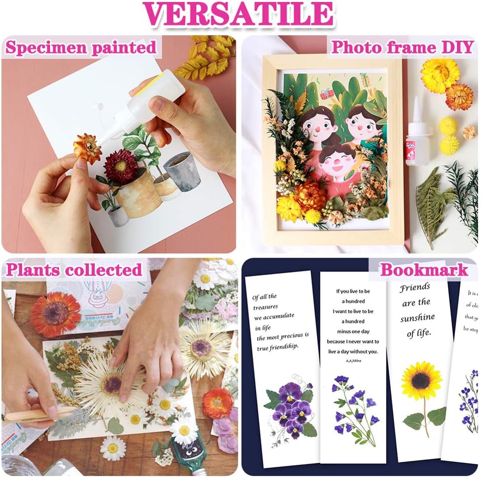 Vignee Real Dried Pressed Flower Daisies for Resin Jewelry Craft DIY