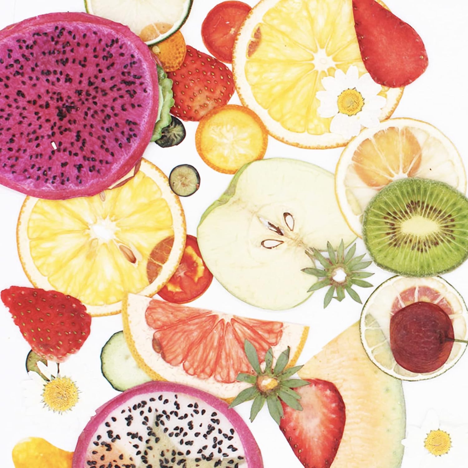 Pressed Dried Flowers Fruits Resin Molds 75 Pieces Assorted