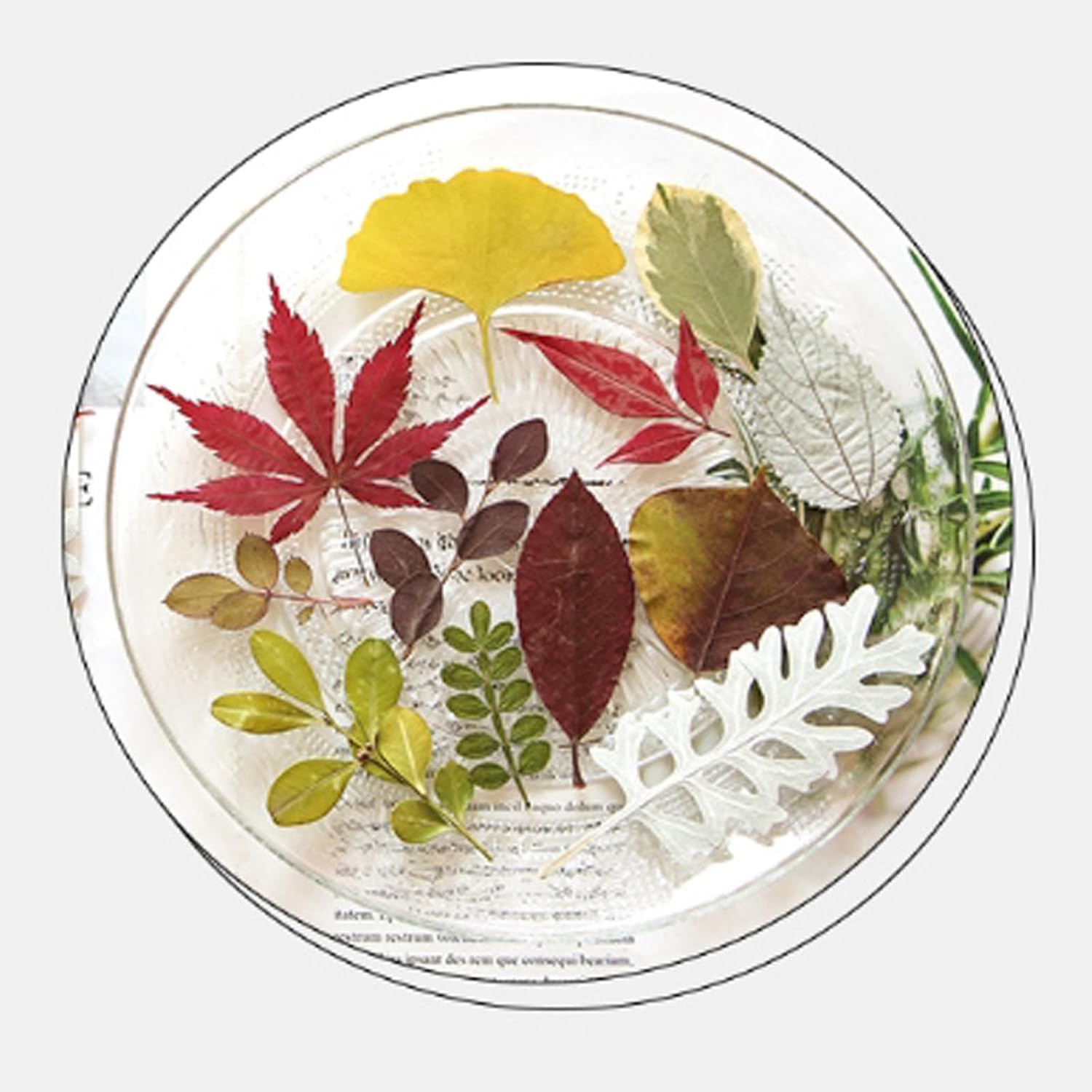 35 Pcs Dried Flowers Leaves for Crafts Resin Art DIY