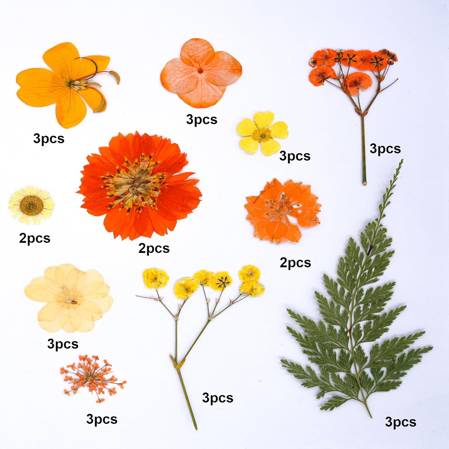 30Pcs Dried Pressed Flowers for Resin Art Crafts