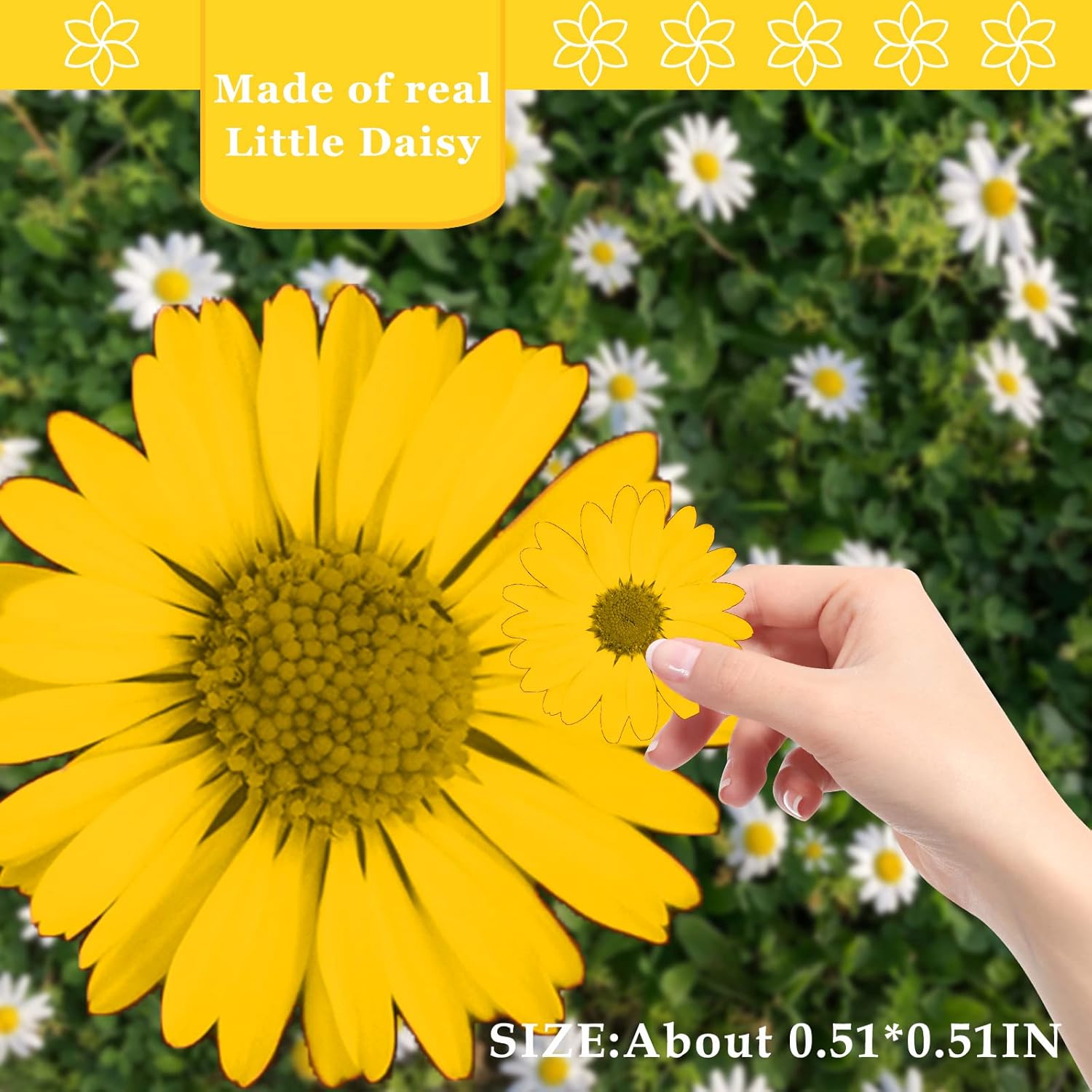 Yellow Dried Flowers Little Daisy for Resin Crafts 60PCS