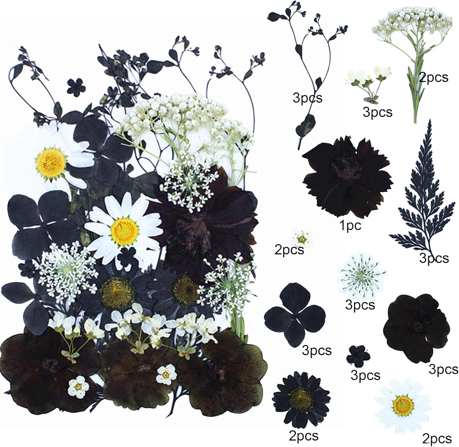 30Pcs Dried Pressed Flowers for Resin Art Crafts Decor