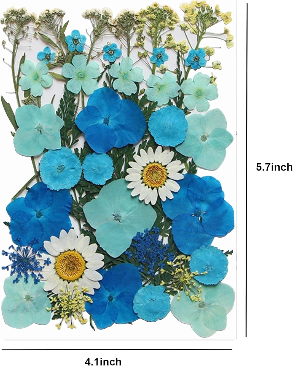 40 Pcs Dried Pressed Flowers Resin Art Craft Decor