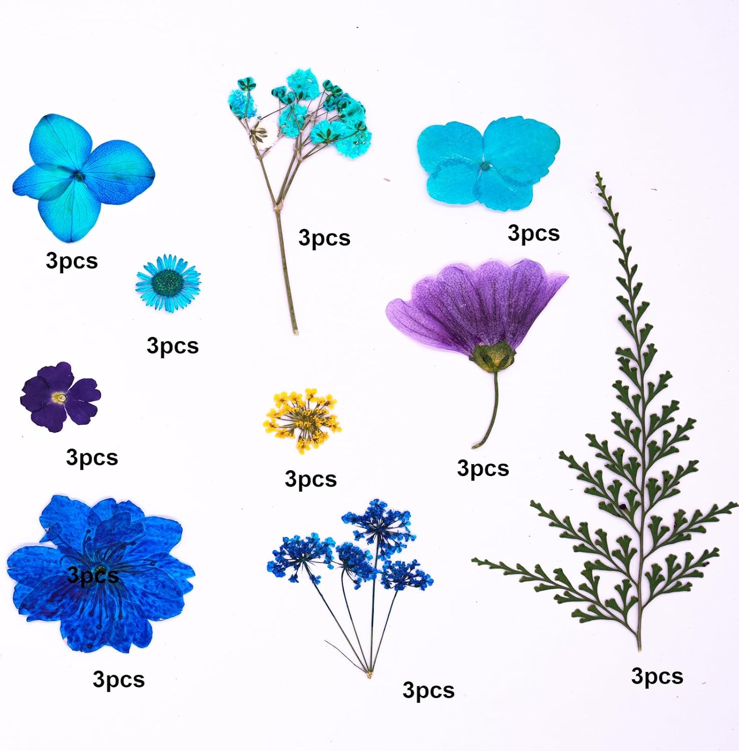 30 Pcs Dried Flowers Leaves Resin Crafting Decor