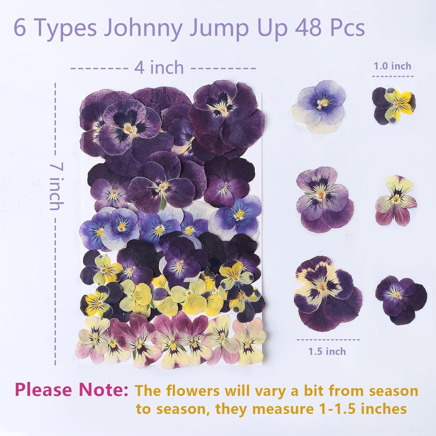 48 Pcs Mix Natural Dried Johnny Jump Up Flowers for Crafts