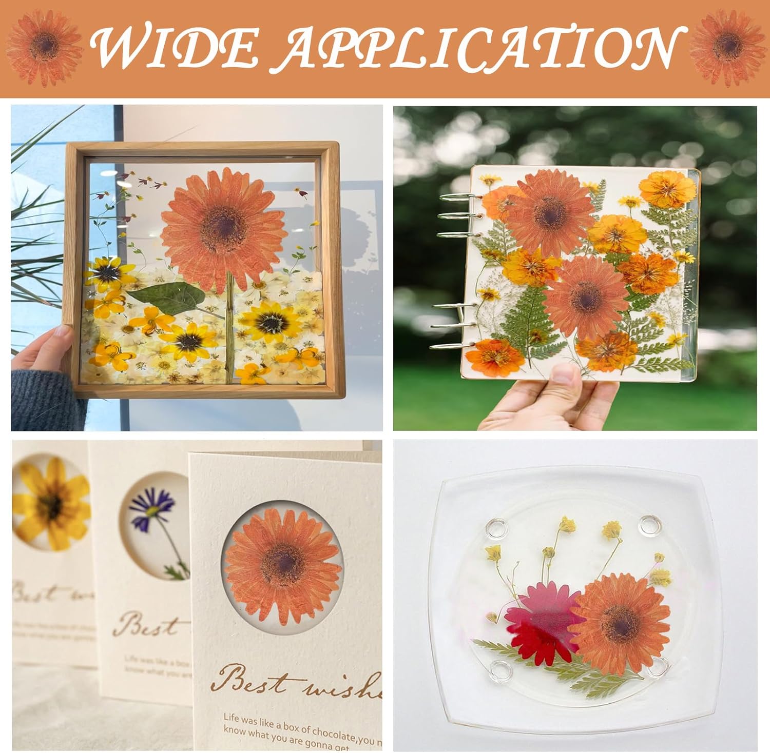 ALJ Large Dried Sunflowers for Resin Crafts Embellishment