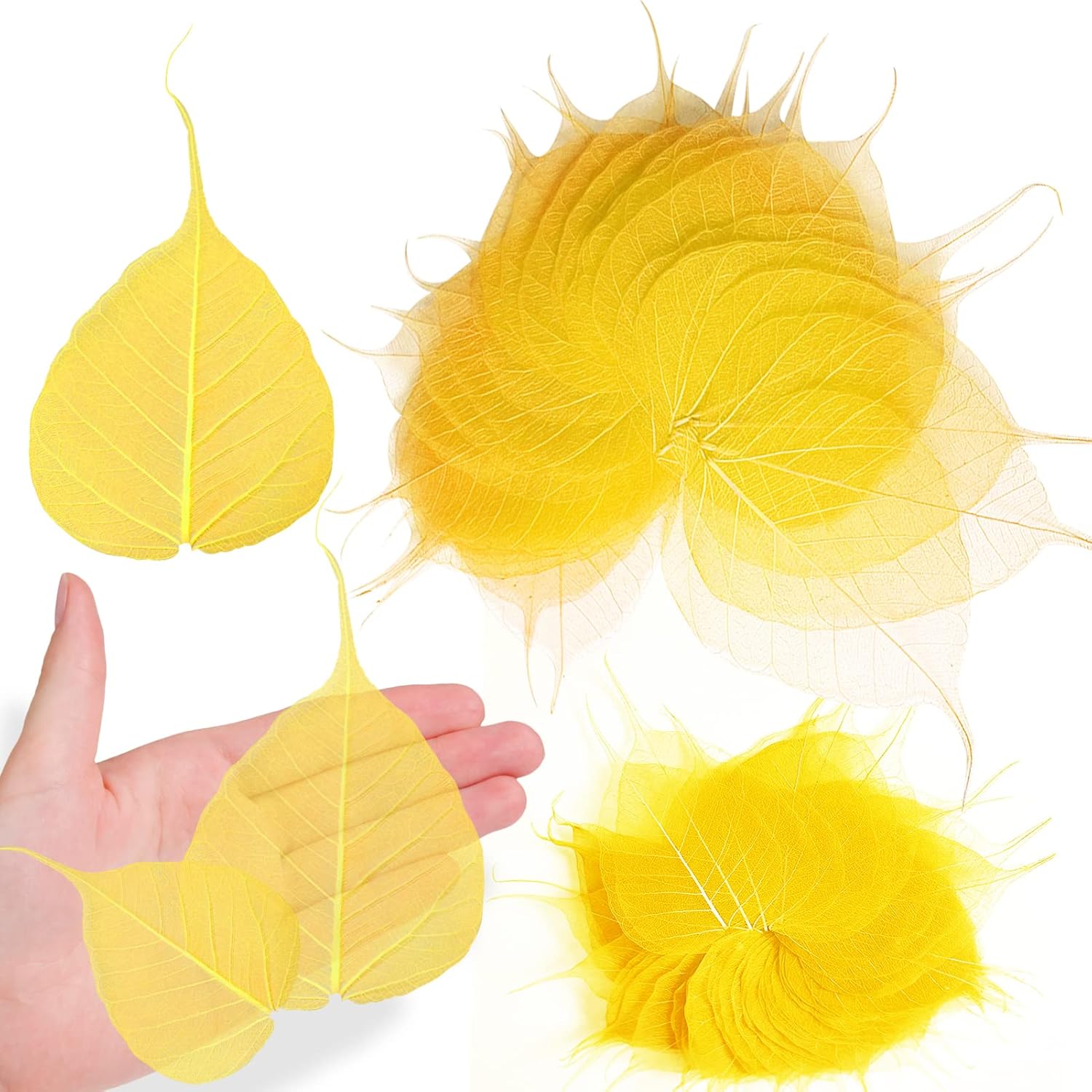 Natural Skeleton Leaves Vein for Resin Craft 42PCS