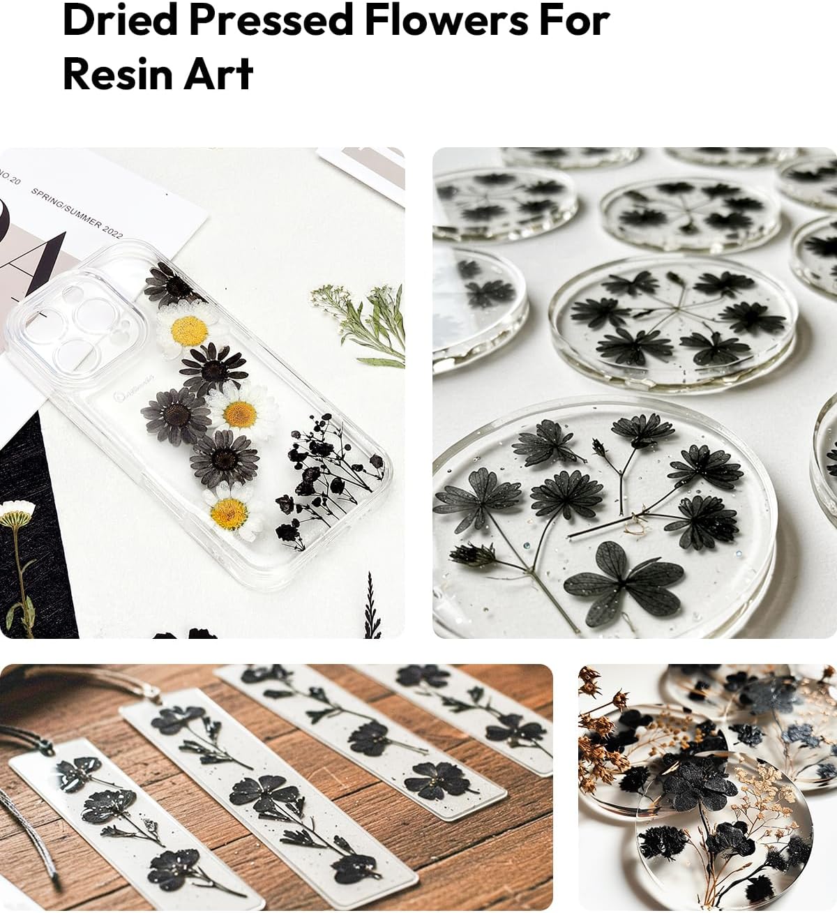 Dried Flowers Pressed Flowers Craft Kit for Scrapbooking DIY