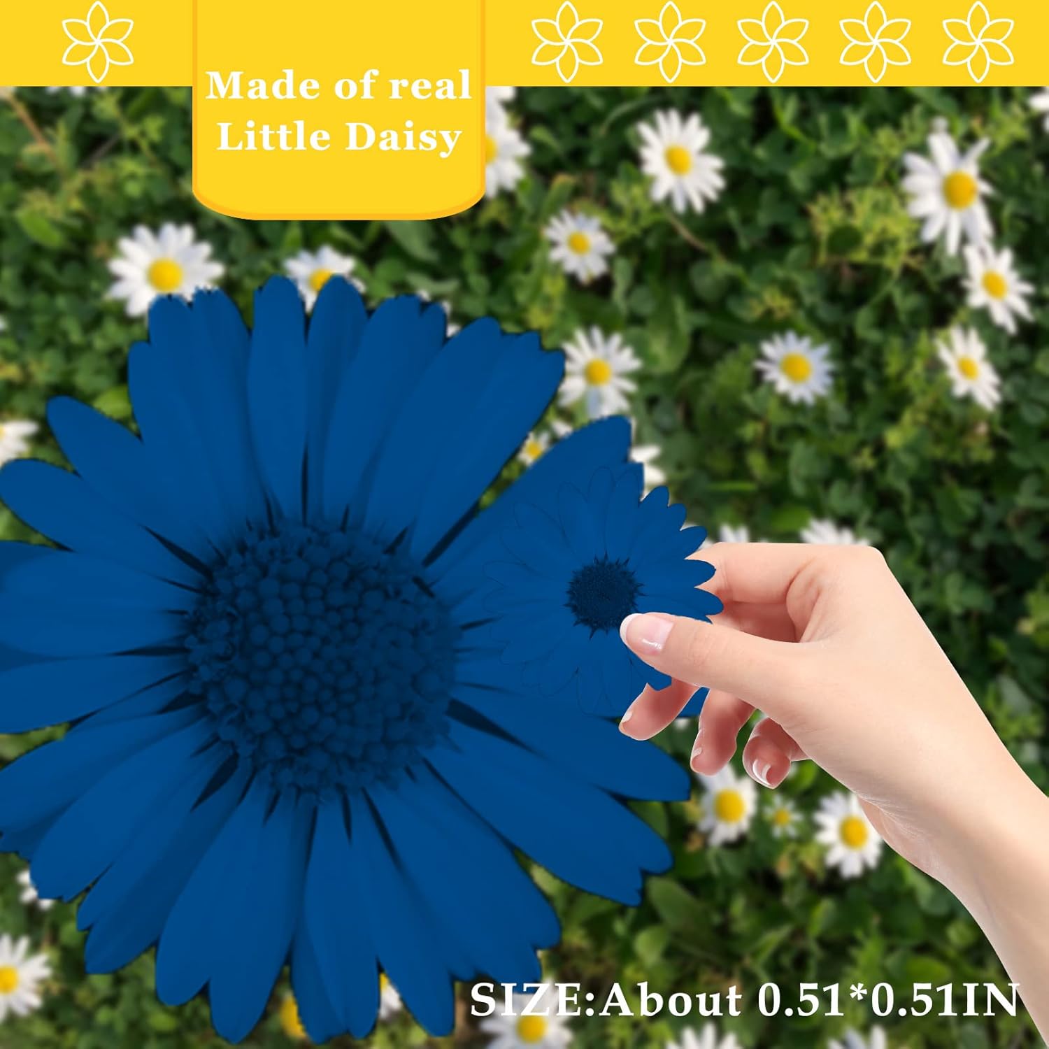 CyHiThai Blue Dried Flowers for Resin Crafts 60PCS