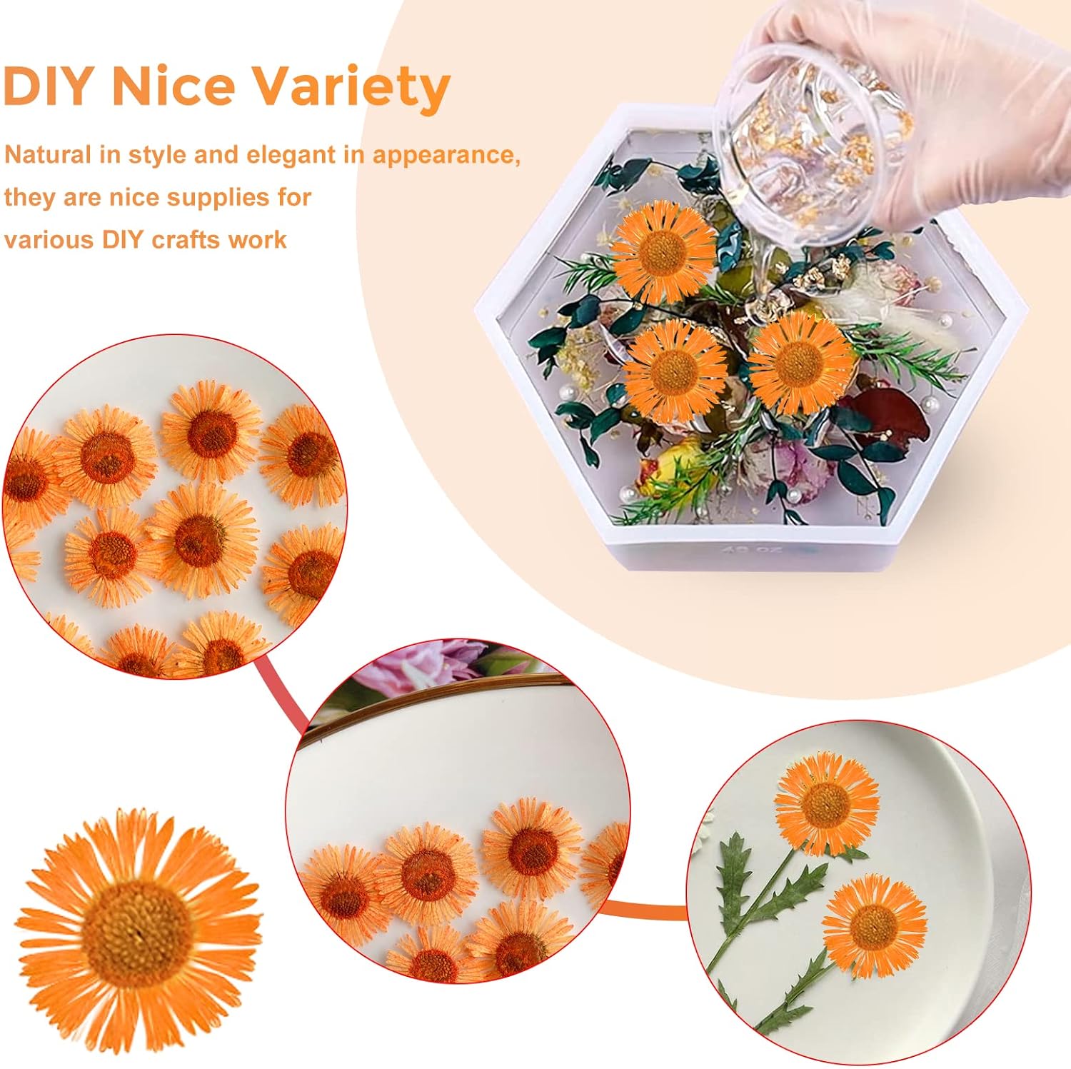 60PCS Dried Chrysanthemum Flowers for Resin Crafts