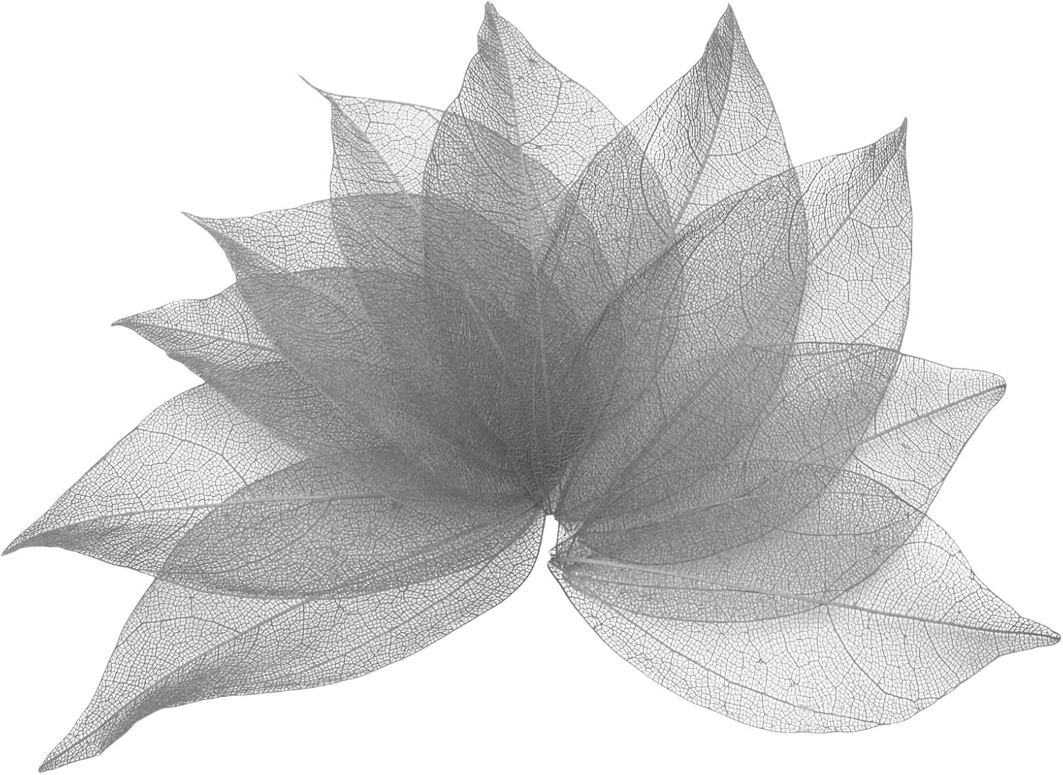Uxcell 100 Pcs Grey Skeleton Leaves for Scrapbooking and Crafts