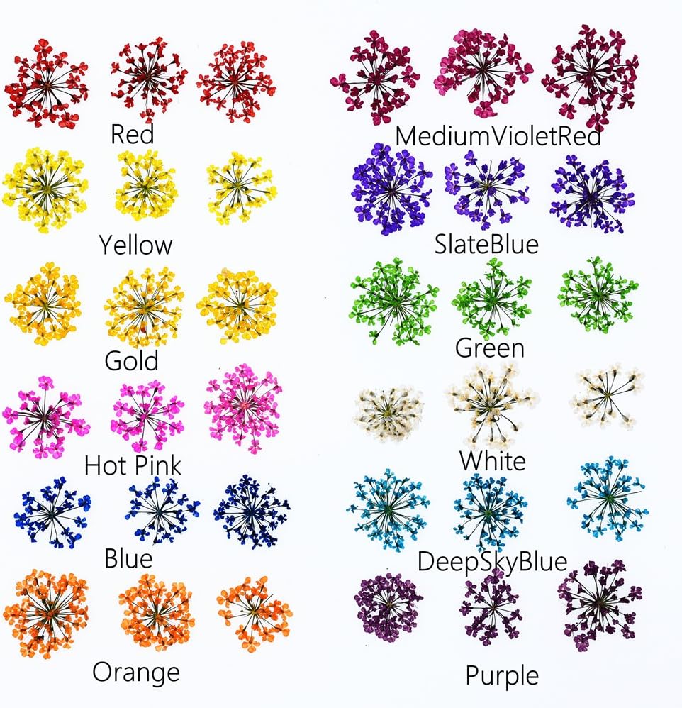 72 pcs 3D Dried Flowers for Nail Art and Resin