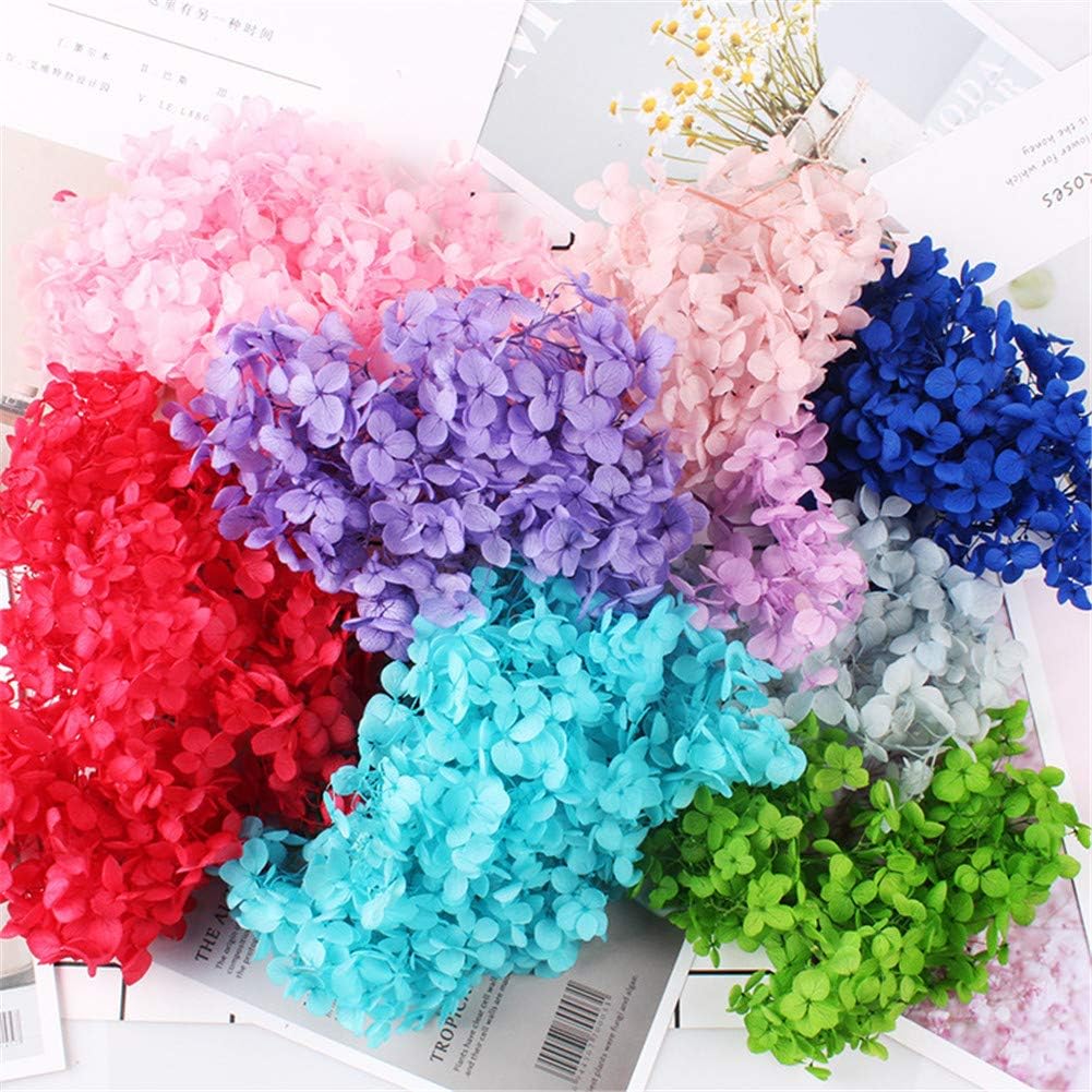 Natural Dried Hydrangea Flowers Purple DIY Craft Decor